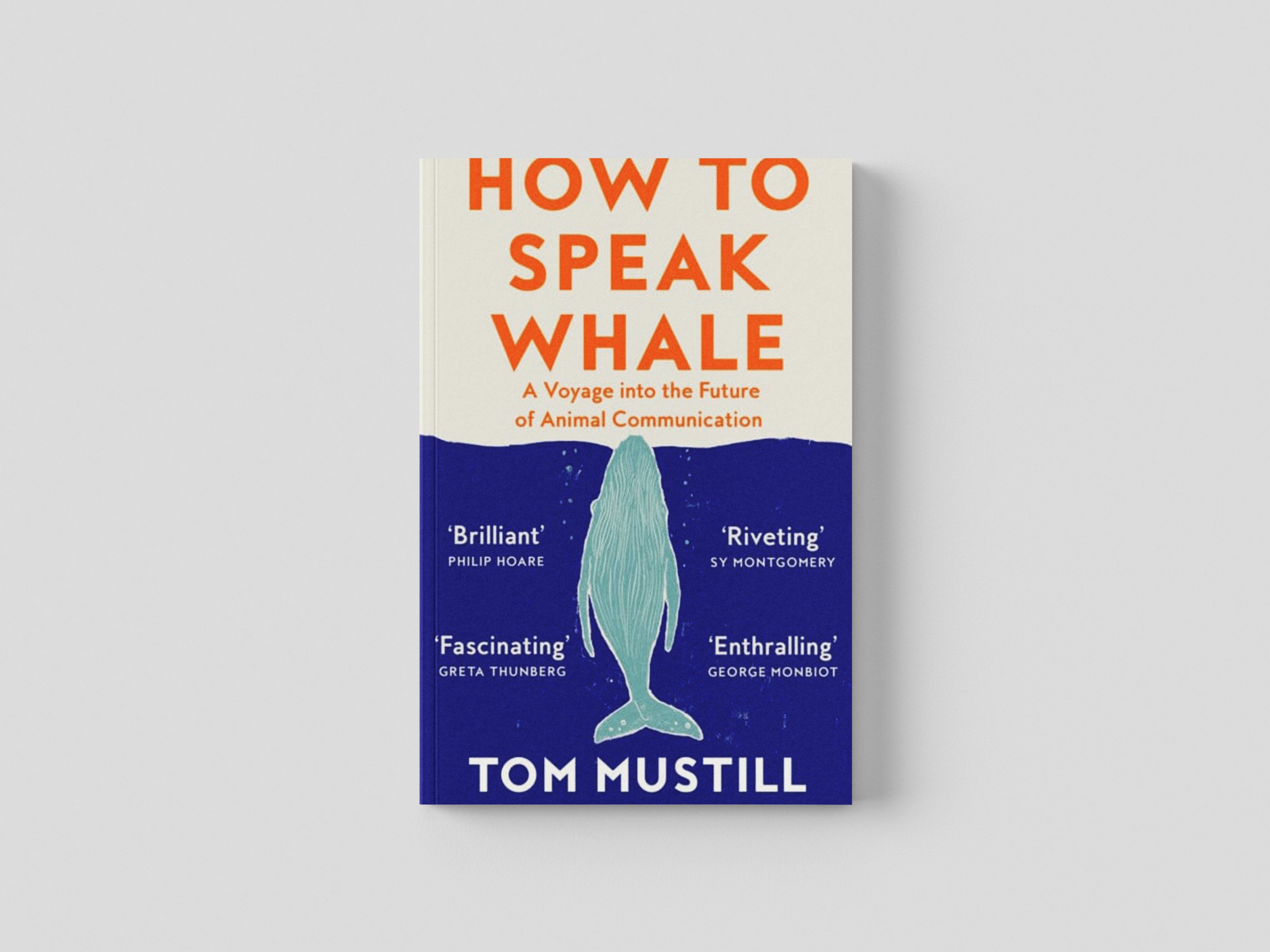 How to Speak Whale Paperback / softback