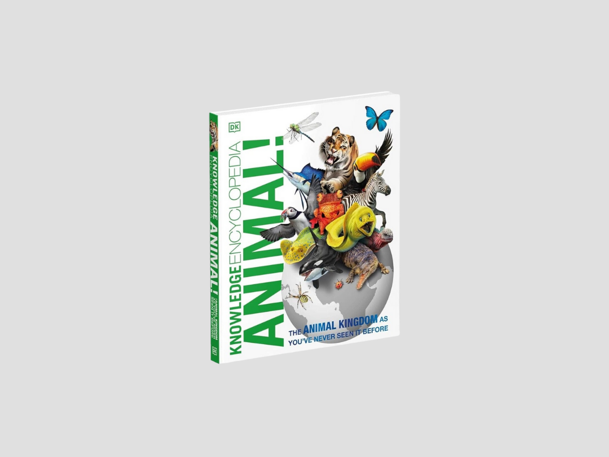 Knowledge Encyclopedia Animal!: The Animal Kingdom as you've Never Seen it Before - Ages 9+ by DK; 9780241756171