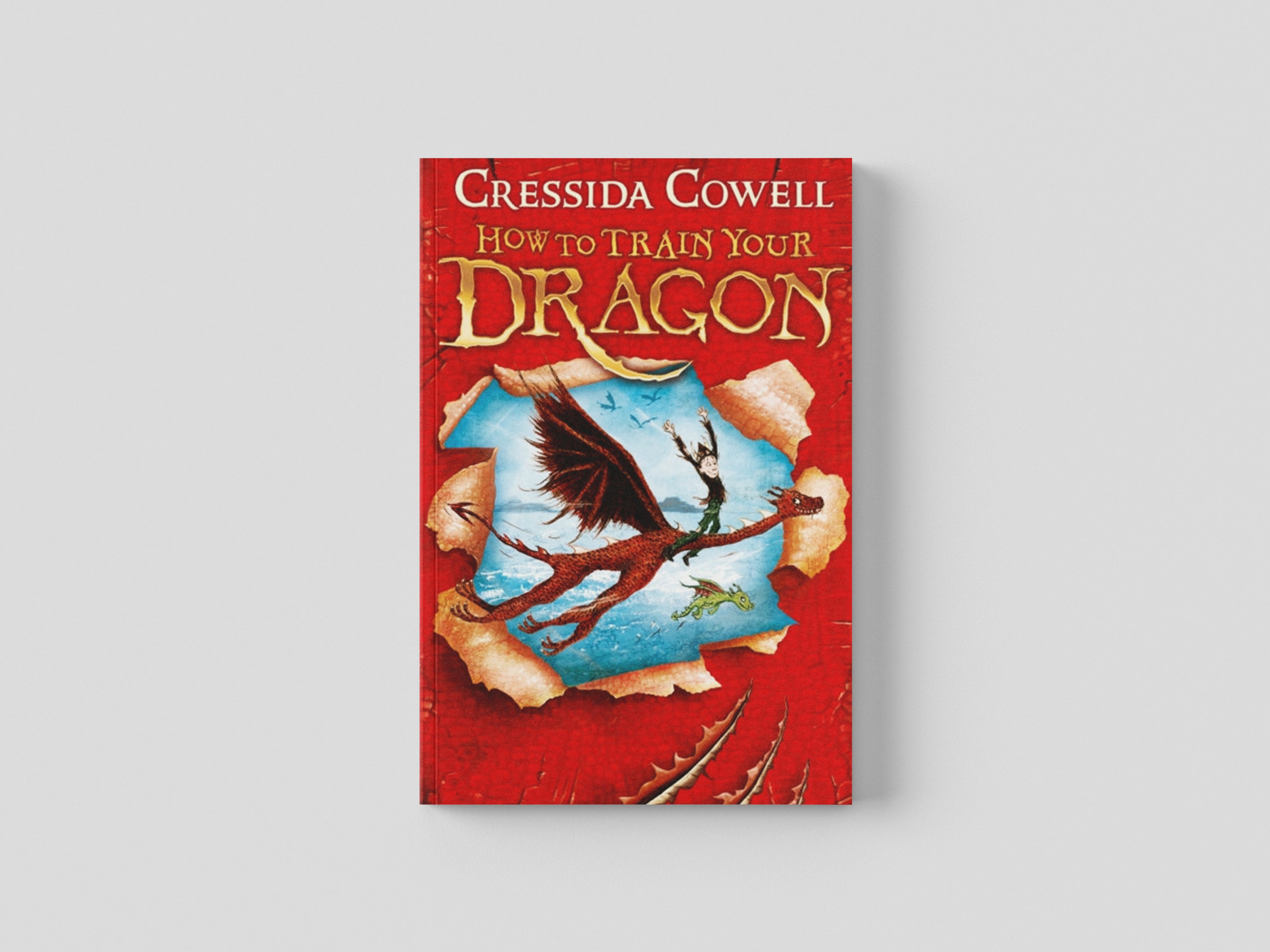 How to Train Your Dragon by Cressida Cowell; 9780340999073