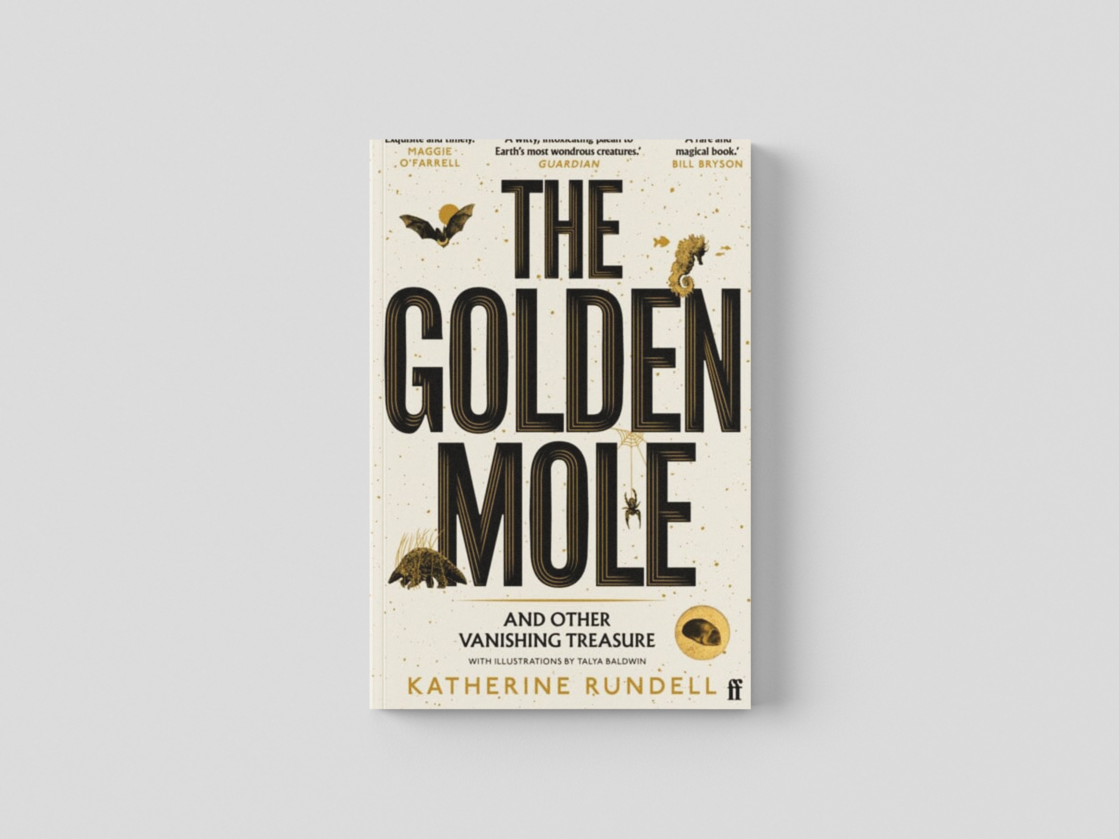 The Golden Mole by Katherine Rundell; 9780571362509