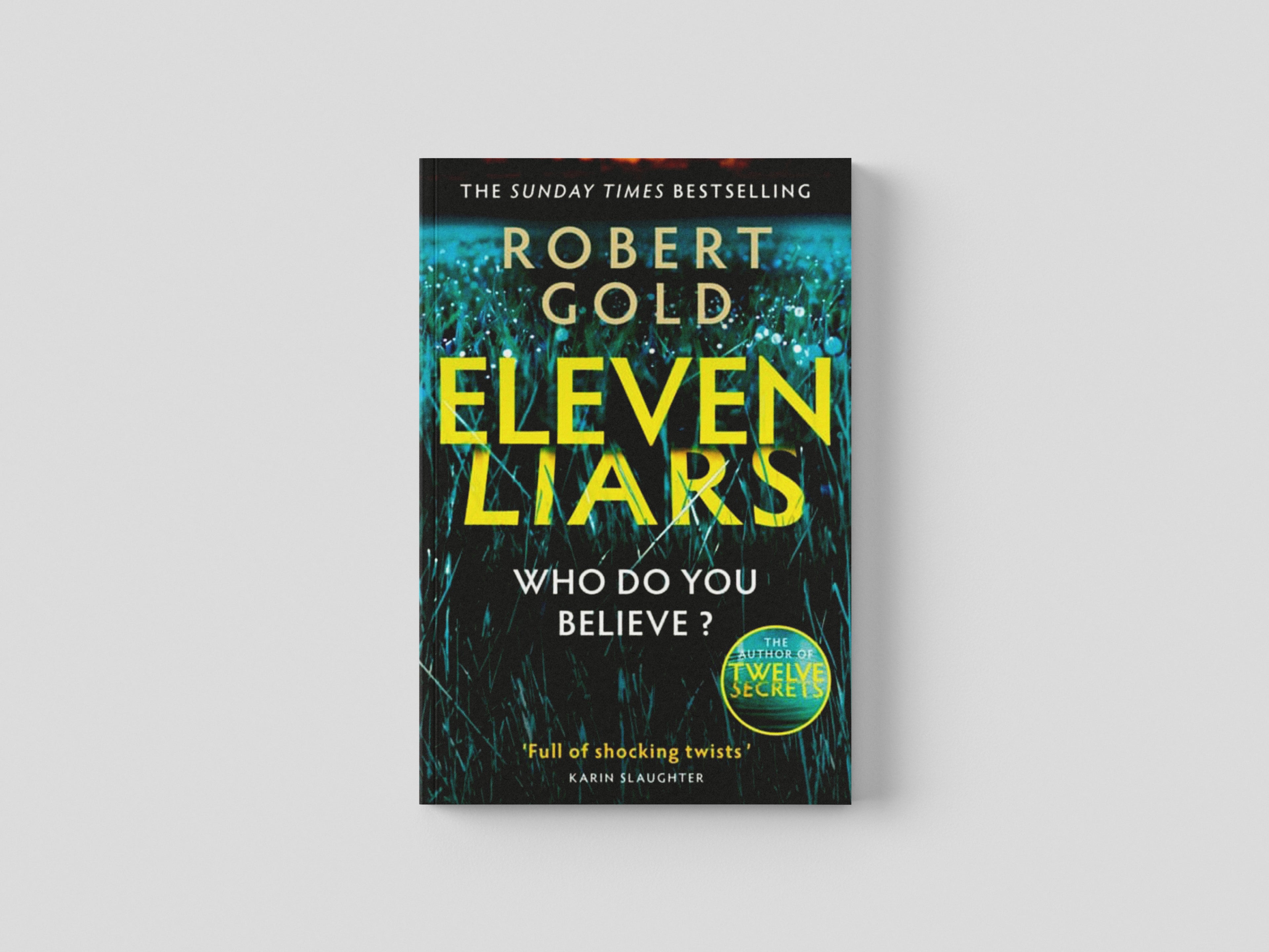 Eleven Liars Paperback / softback