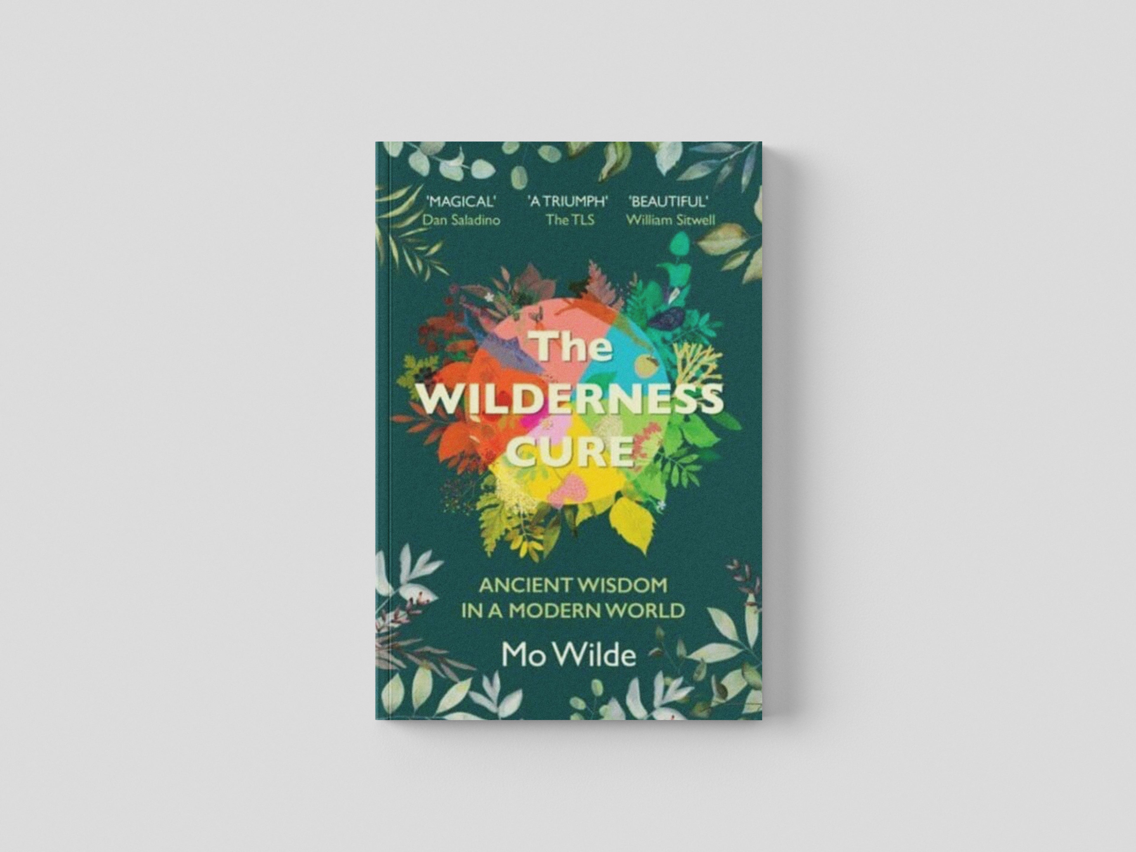 The Wilderness Cure Paperback / softback