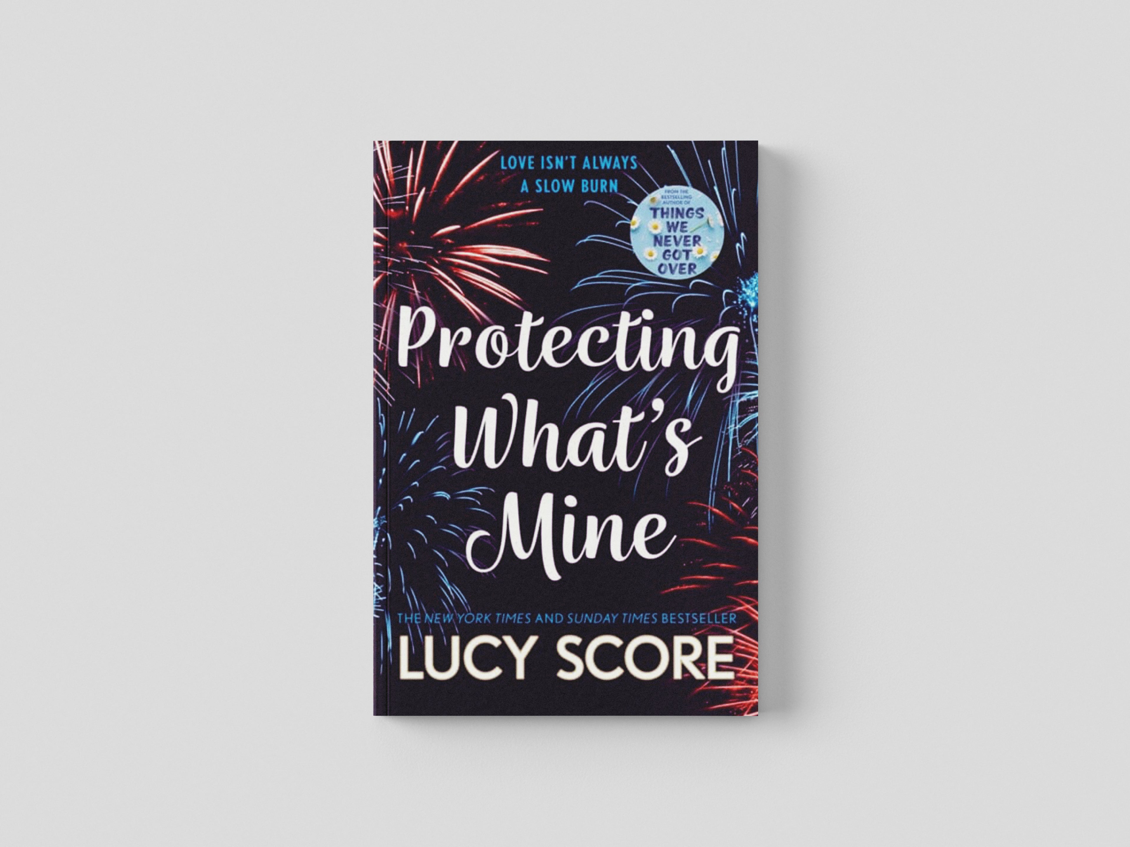 Protecting What's Mine: the stunning small town love story from the author of Things We Never Got Over