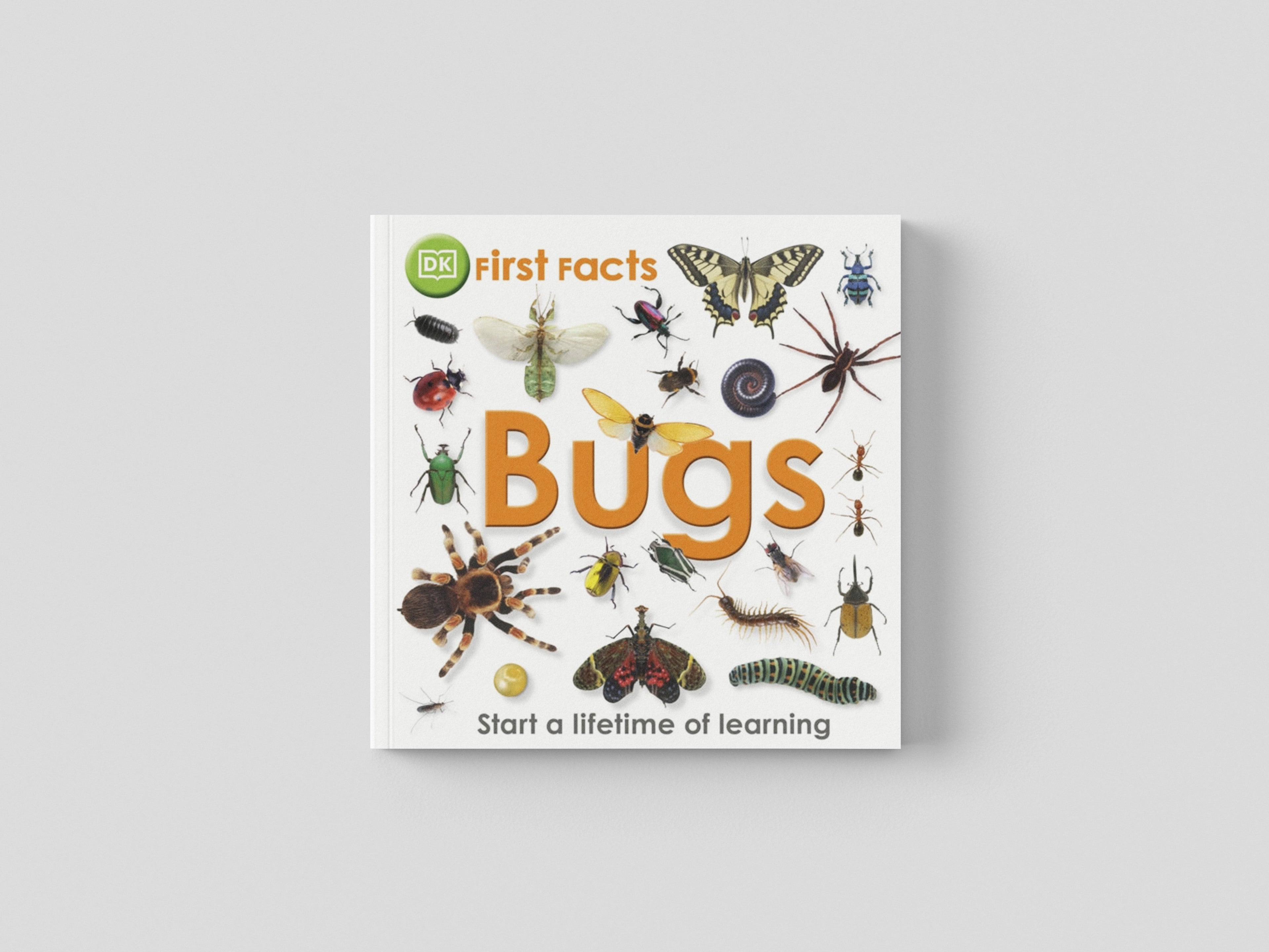 First Facts Bugs by DK; 9781405368131