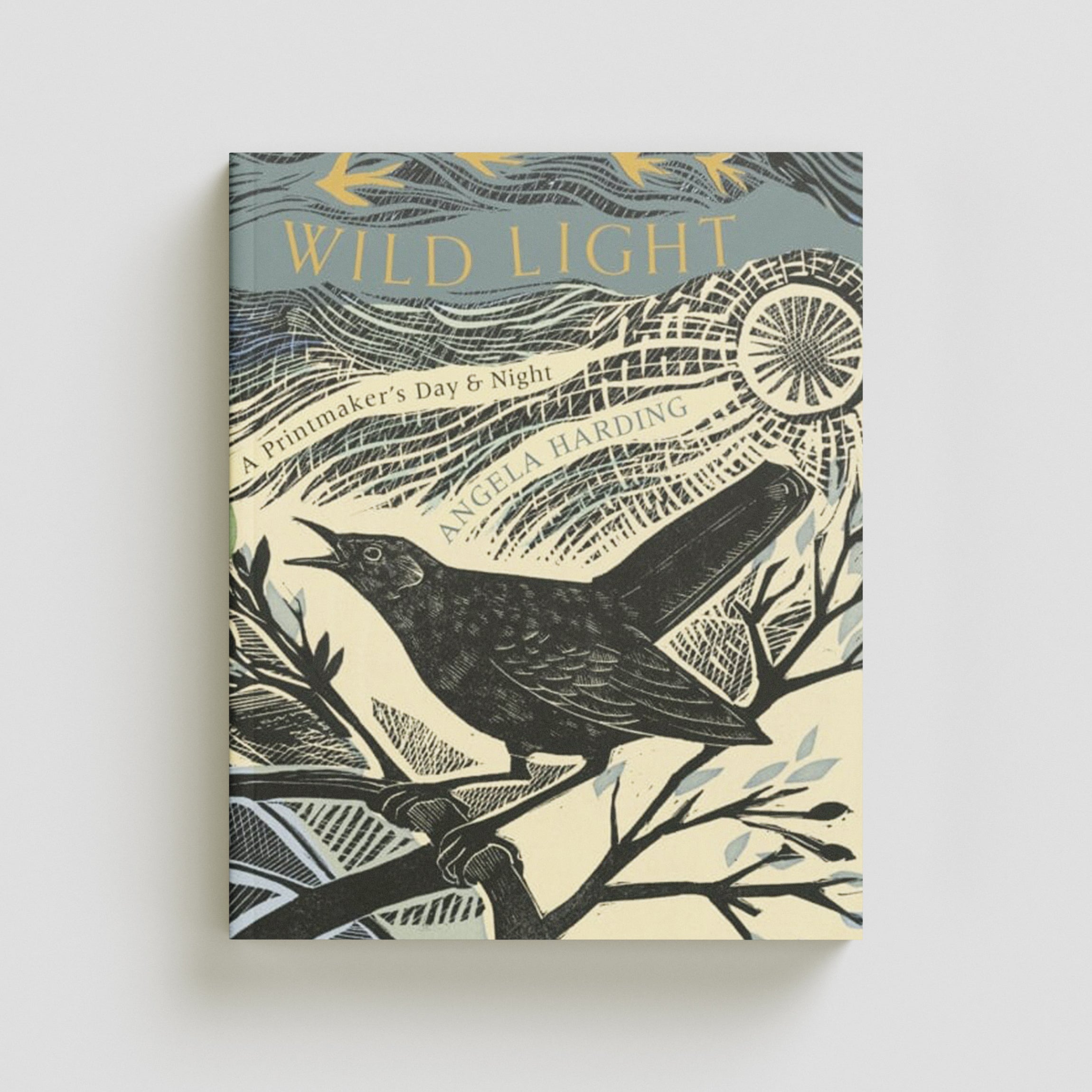 Wild Light by Little, Brown Book Group; 9781408726808