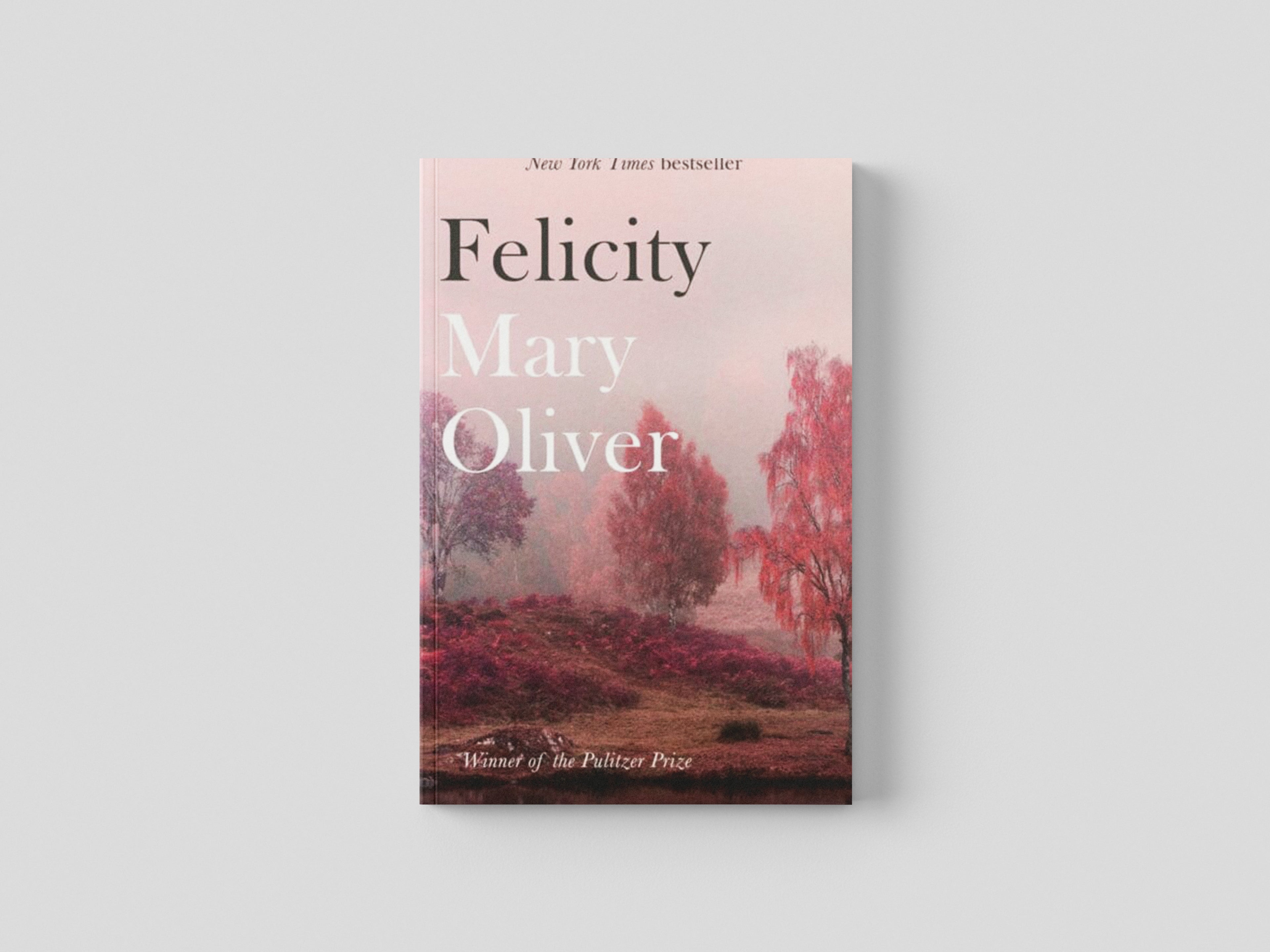 Felicity Paperback / softback