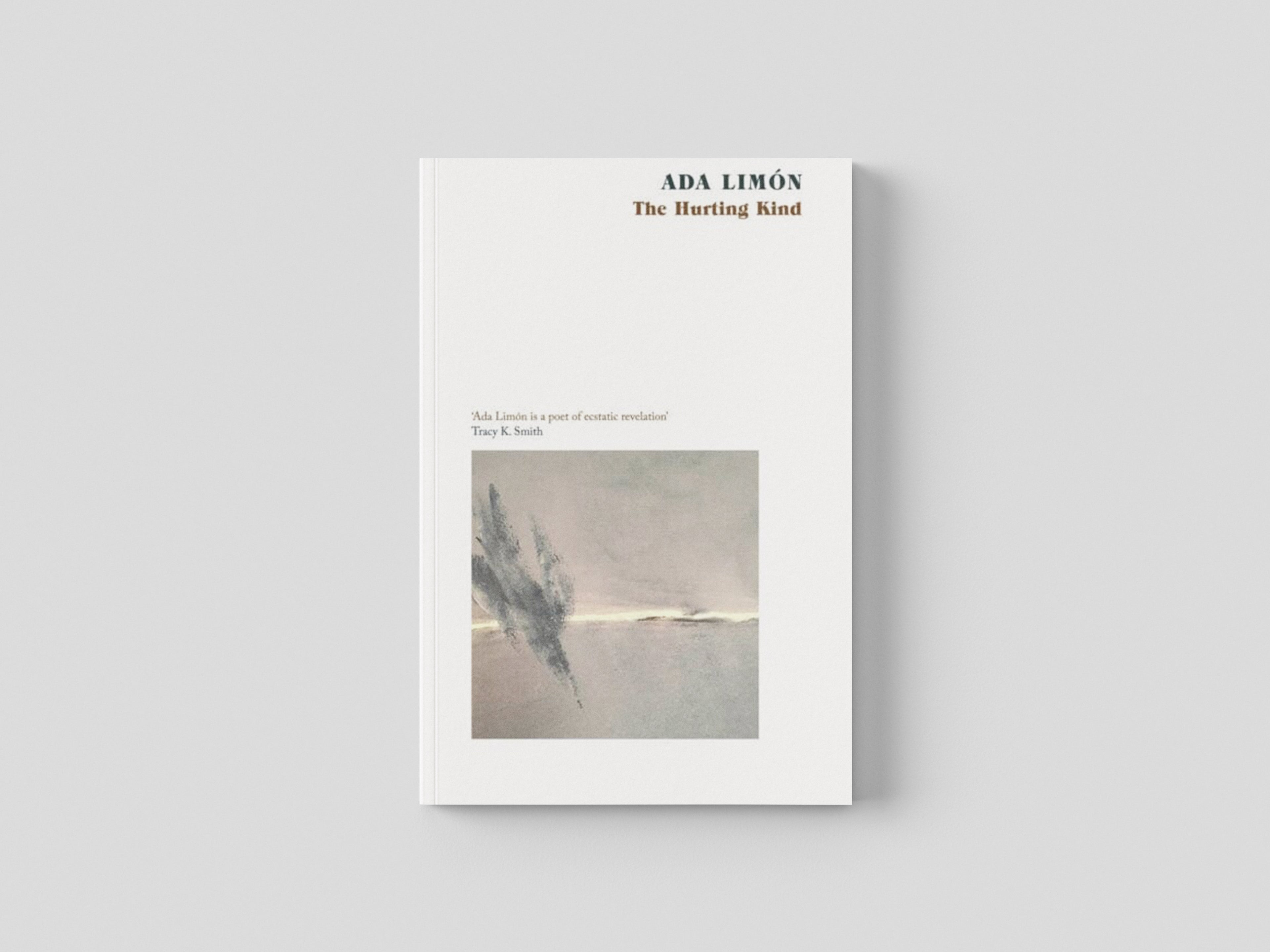 The Hurting Kind by Little, Brown Book Group; 9781472157683