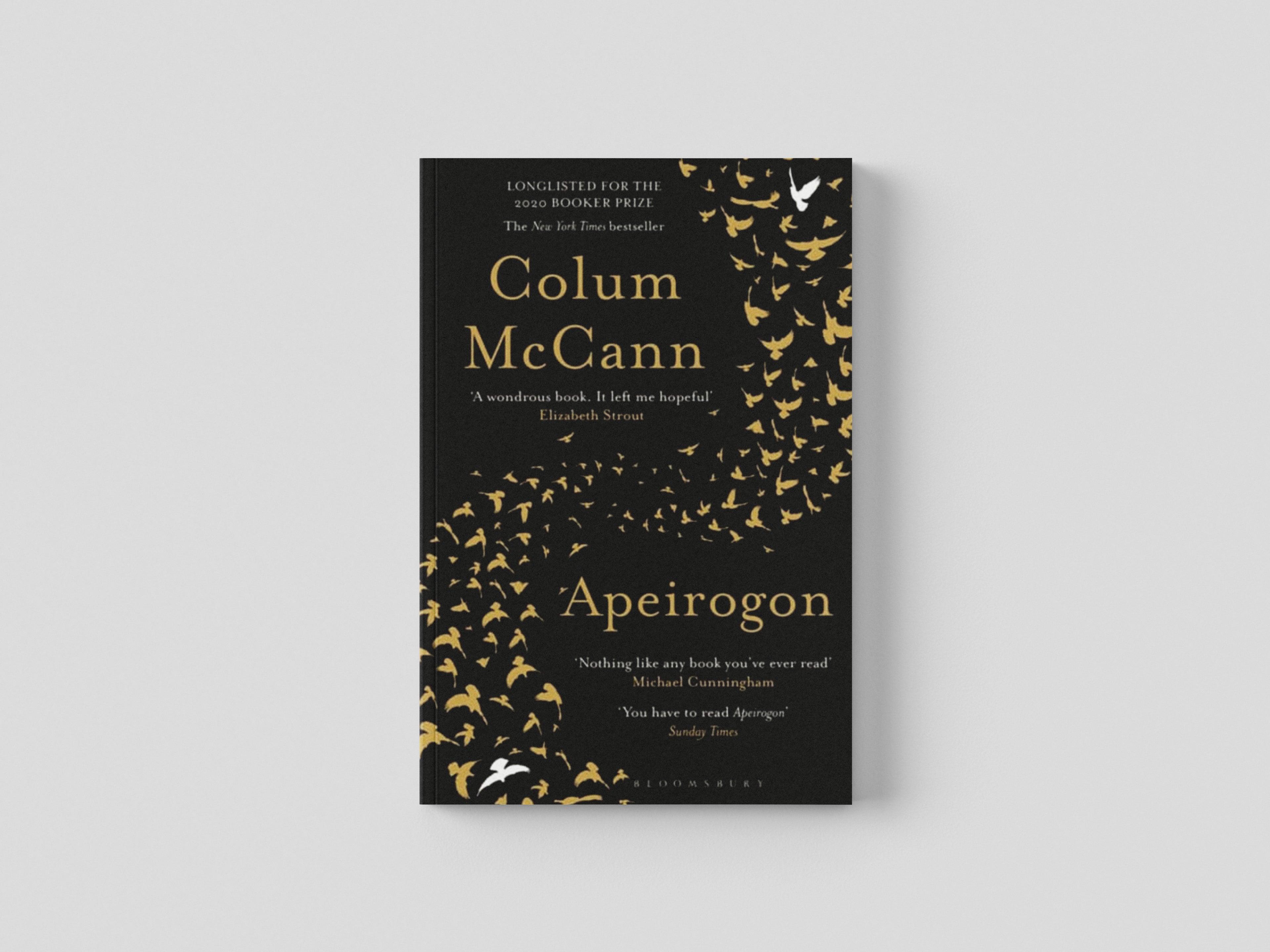 Apeirogon by Colum McCann; 9781526607898