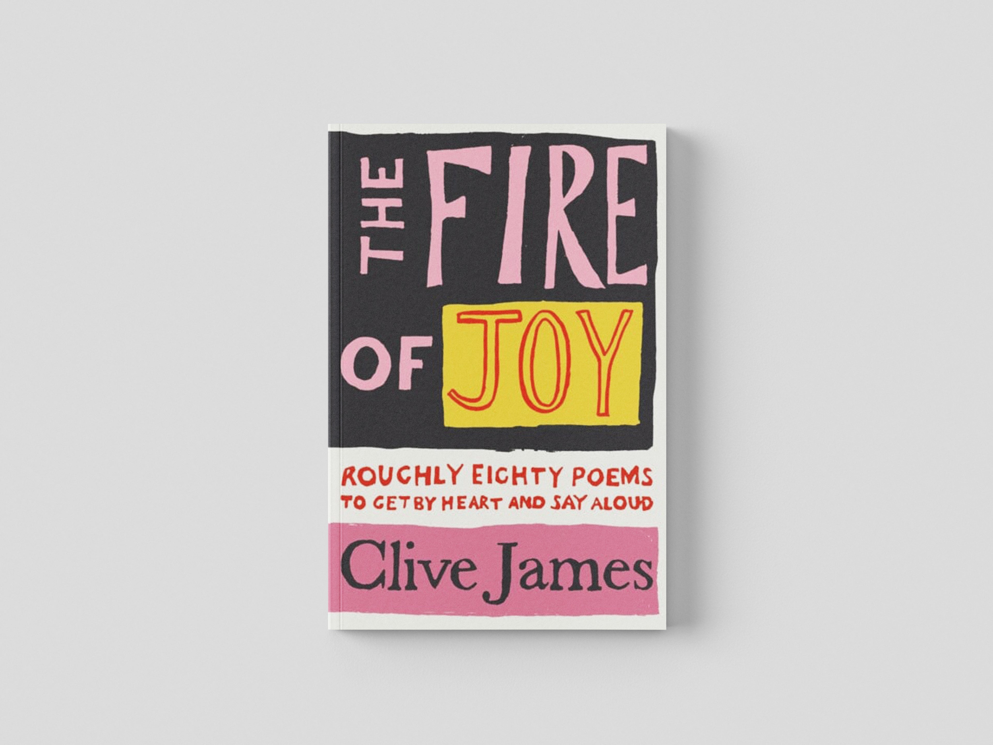 The Fire of Joy by Pan Macmillan; 9781529042108