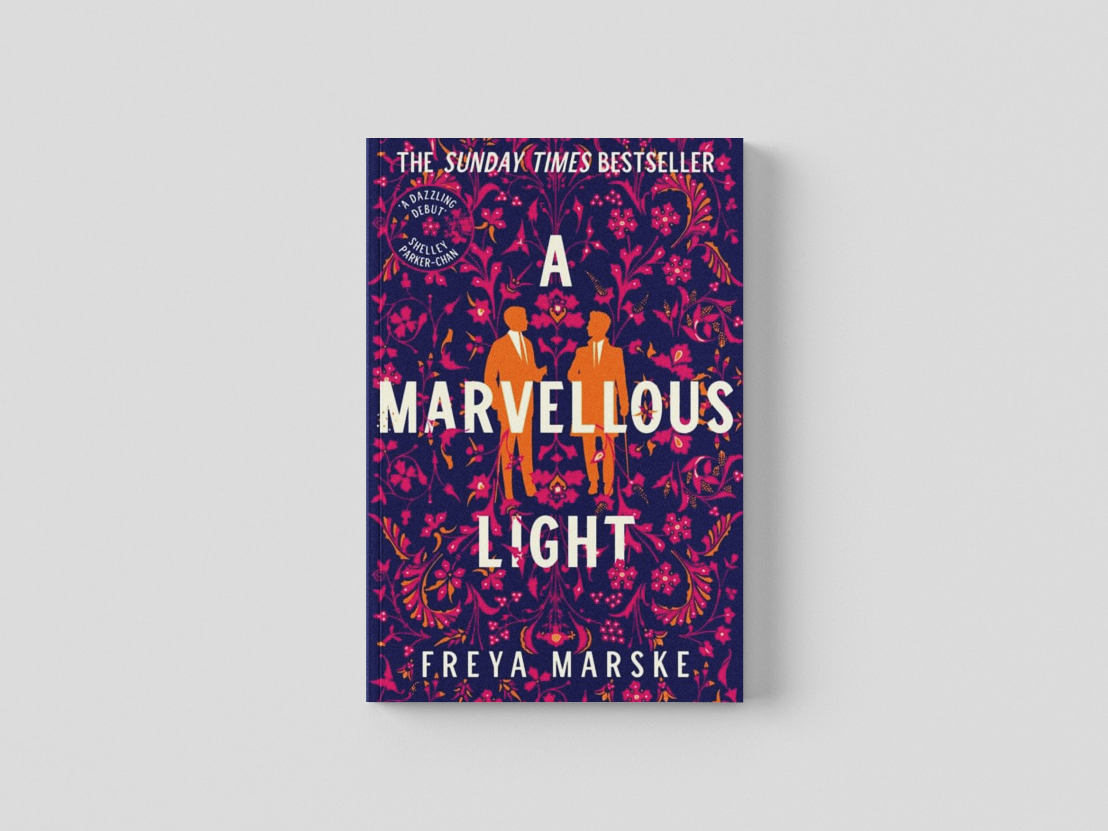 A Marvellous Light by Pan Macmillan; 9781529080902
