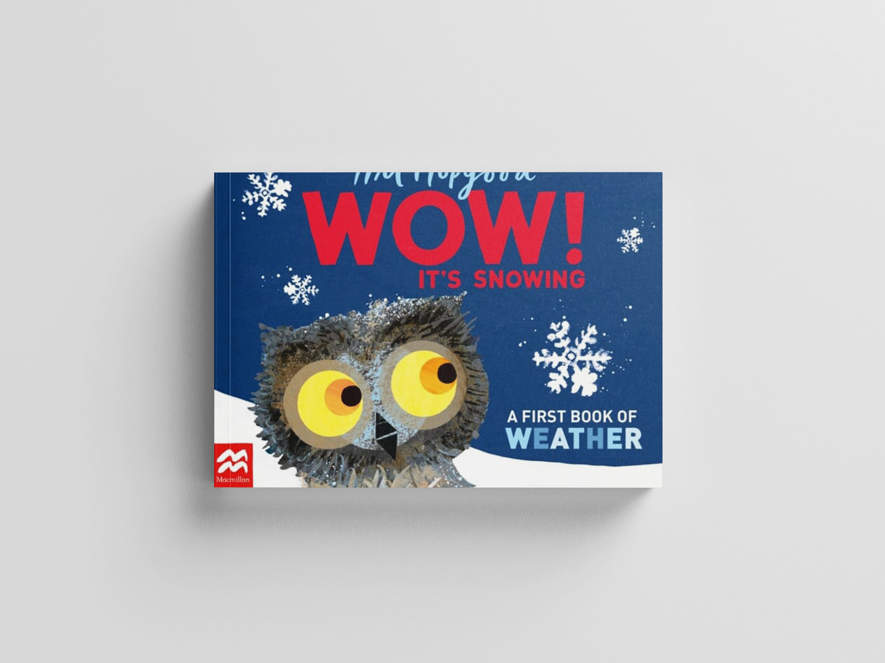 WOW! It's Snowing by Tim Hopgood; 9781529098396