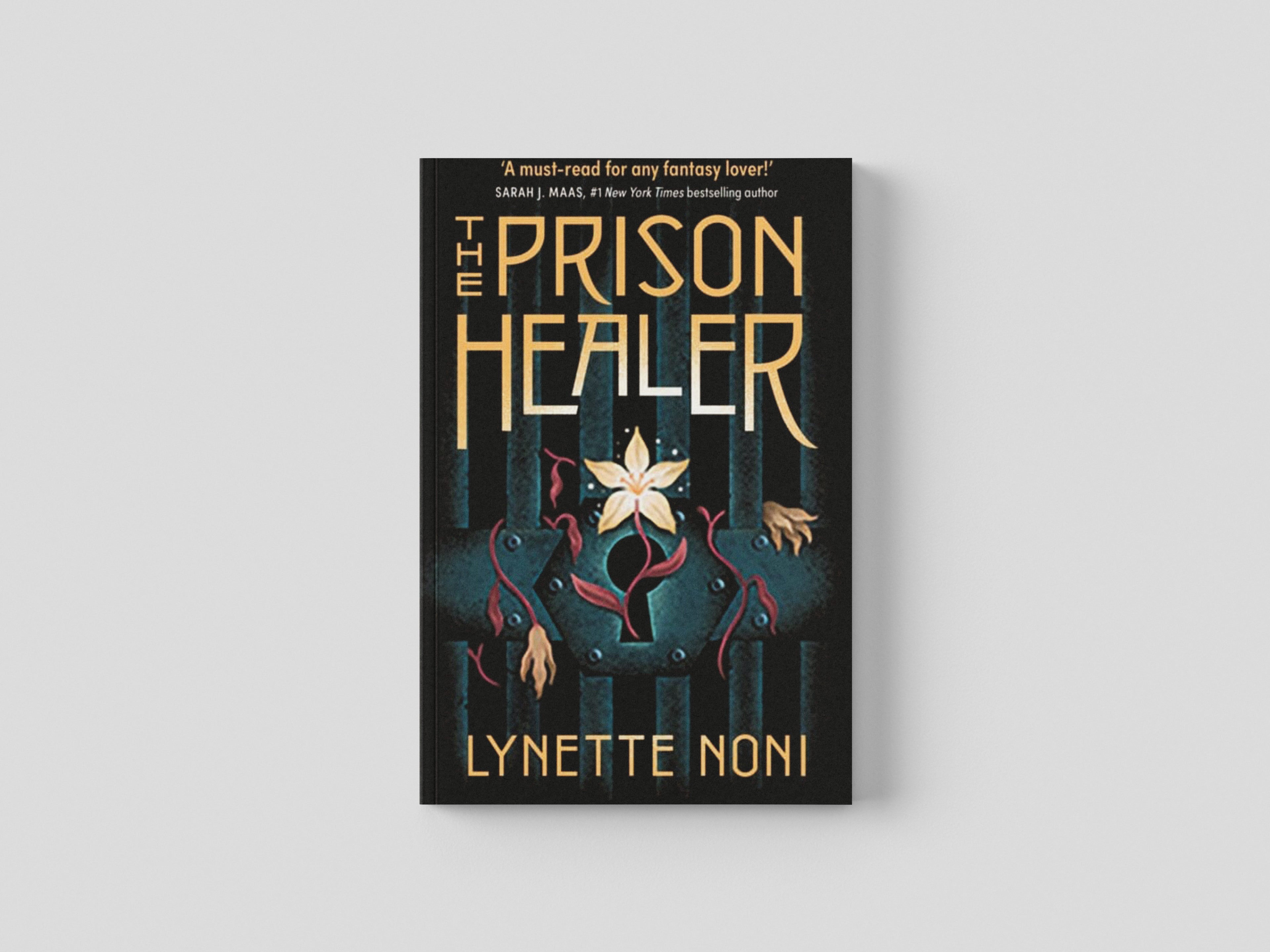 The Prison Healer by Hodder & Stoughton General Division; 9781529360400