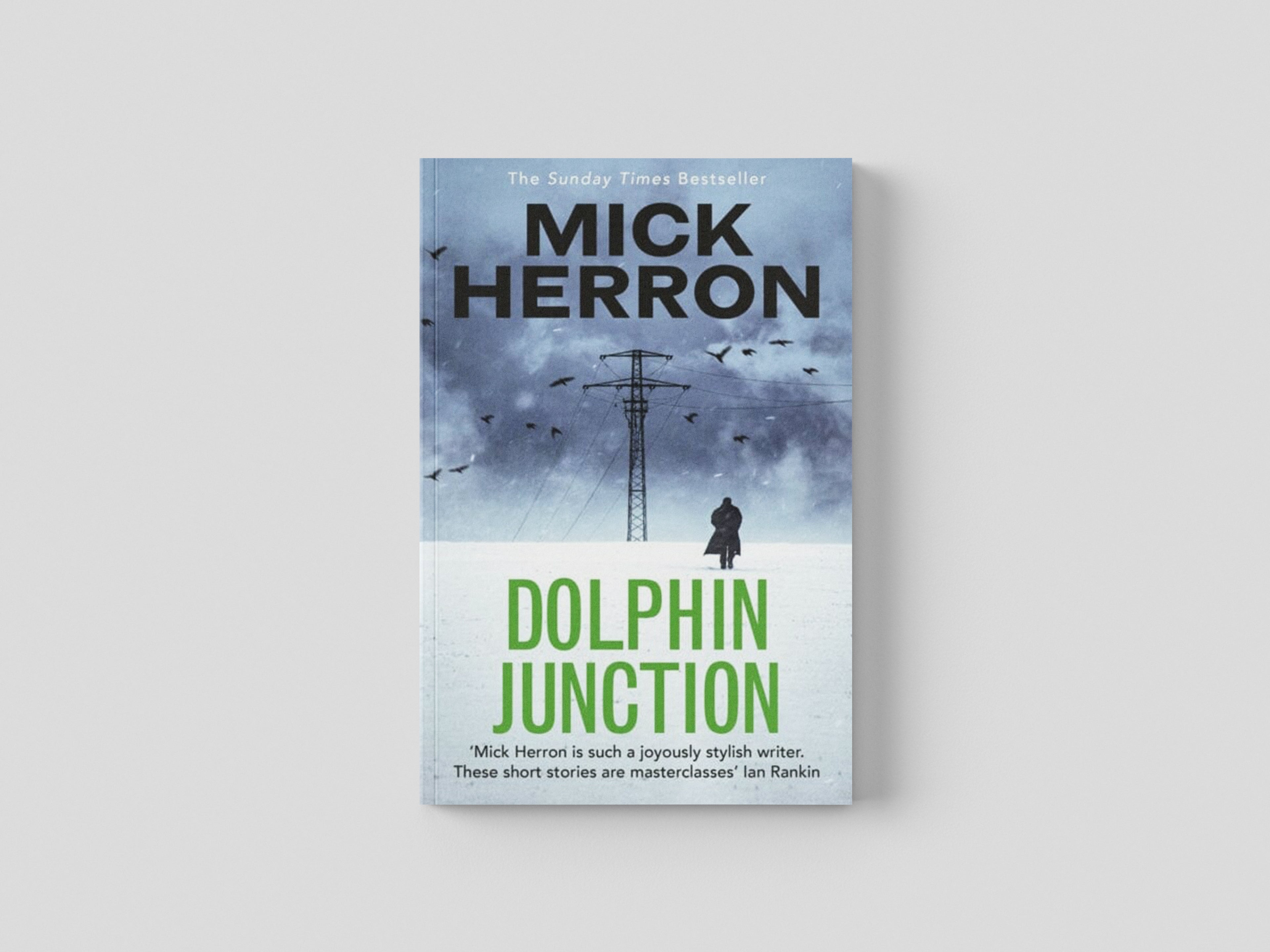 Dolphin Junction by John Murray Press; 9781529371284
