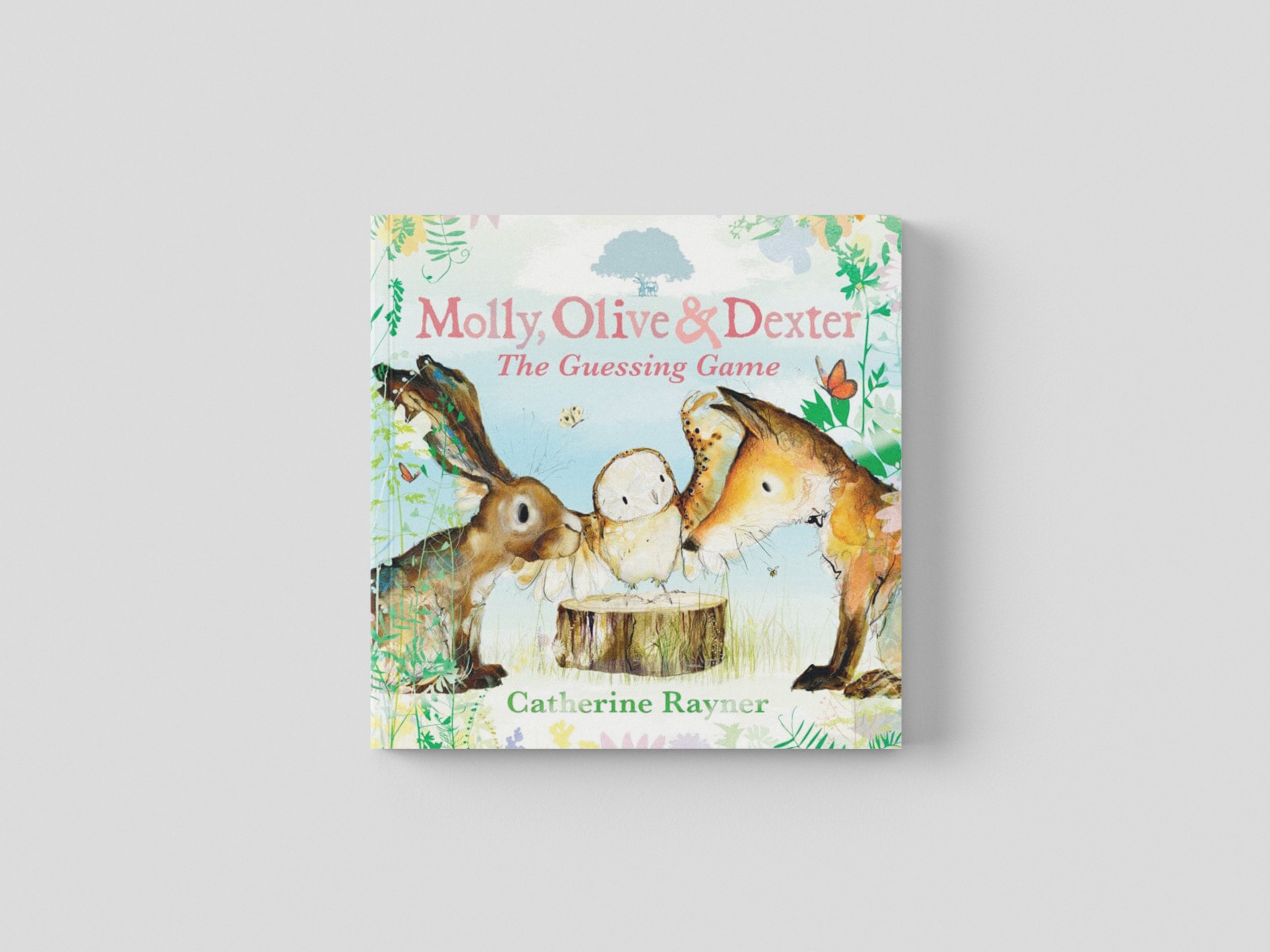 Molly, Olive and Dexter: The Guessing Game by Catherine Rayner; 9781529501544