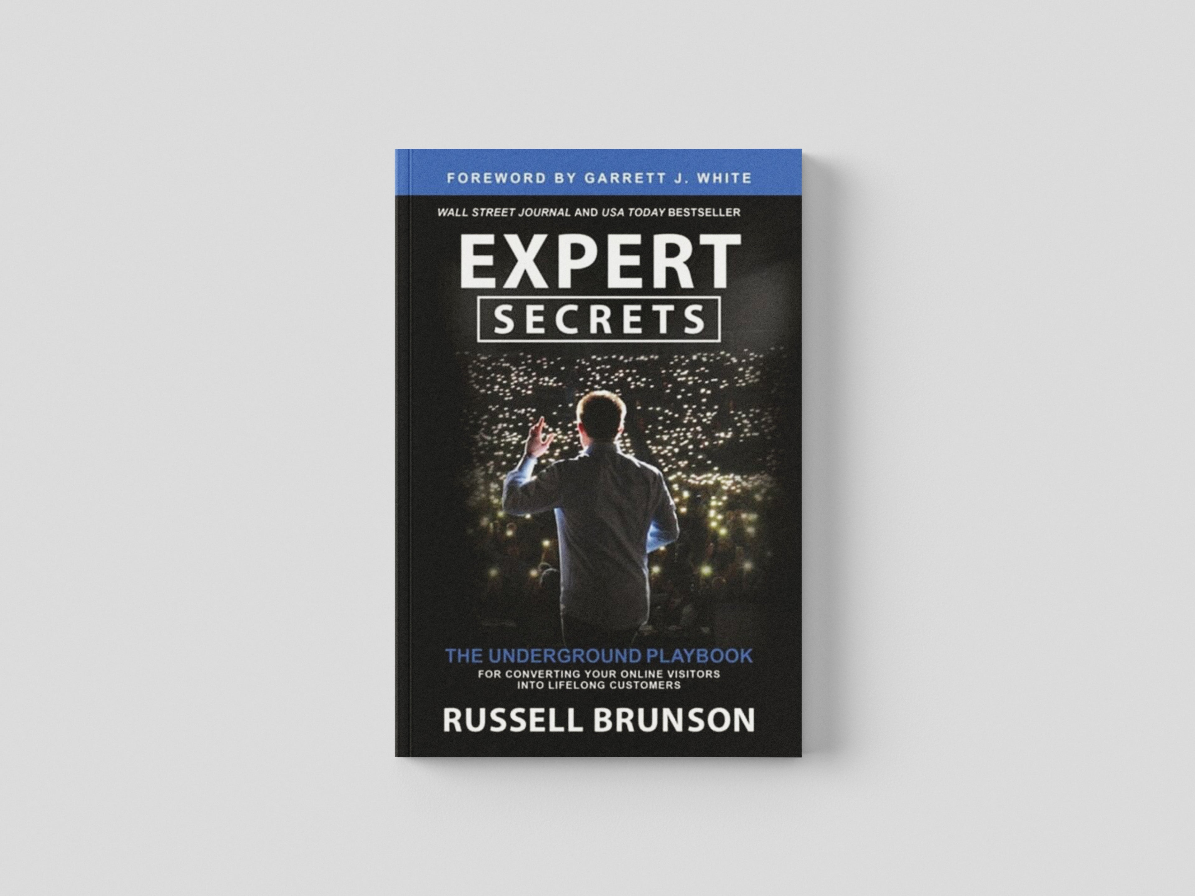 Expert Secrets by Hay House UK Ltd; 9781788178563