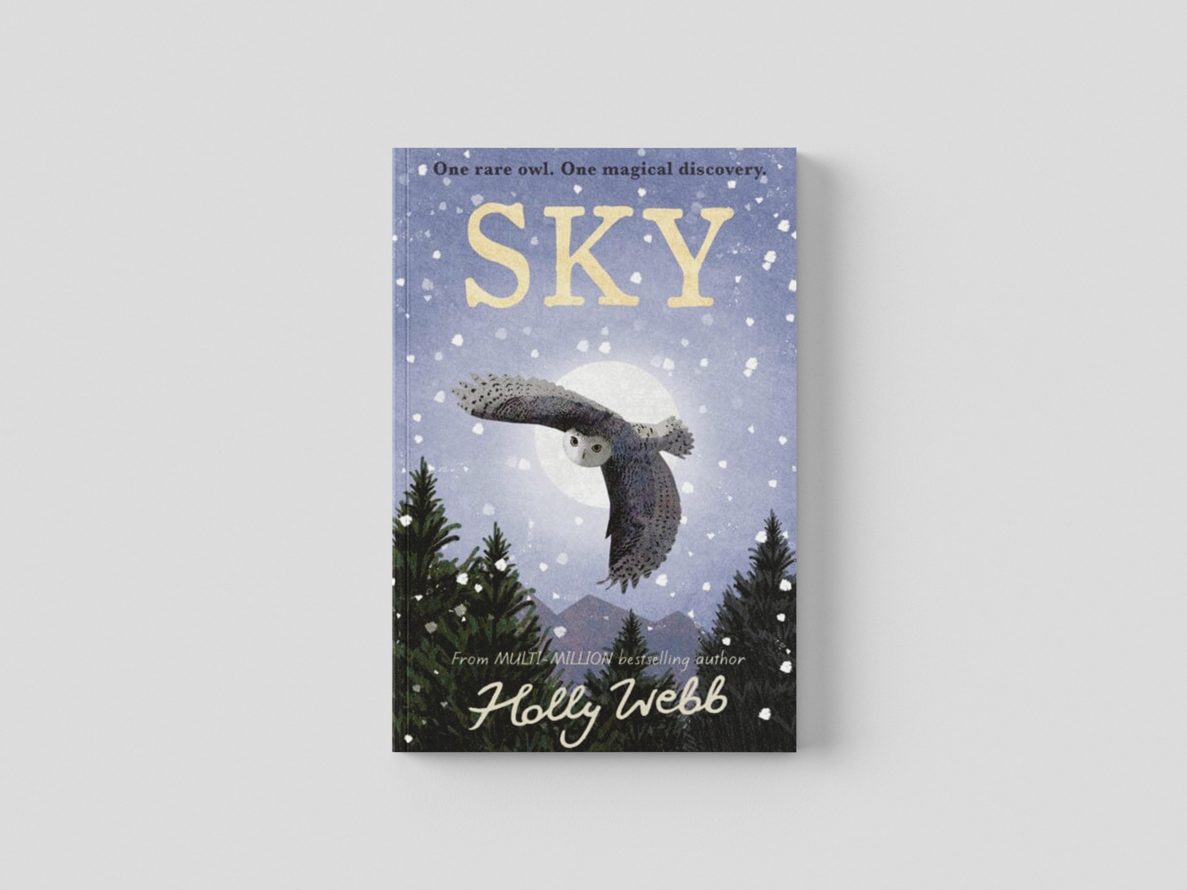 Sky by Holly Webb; 9781788956581