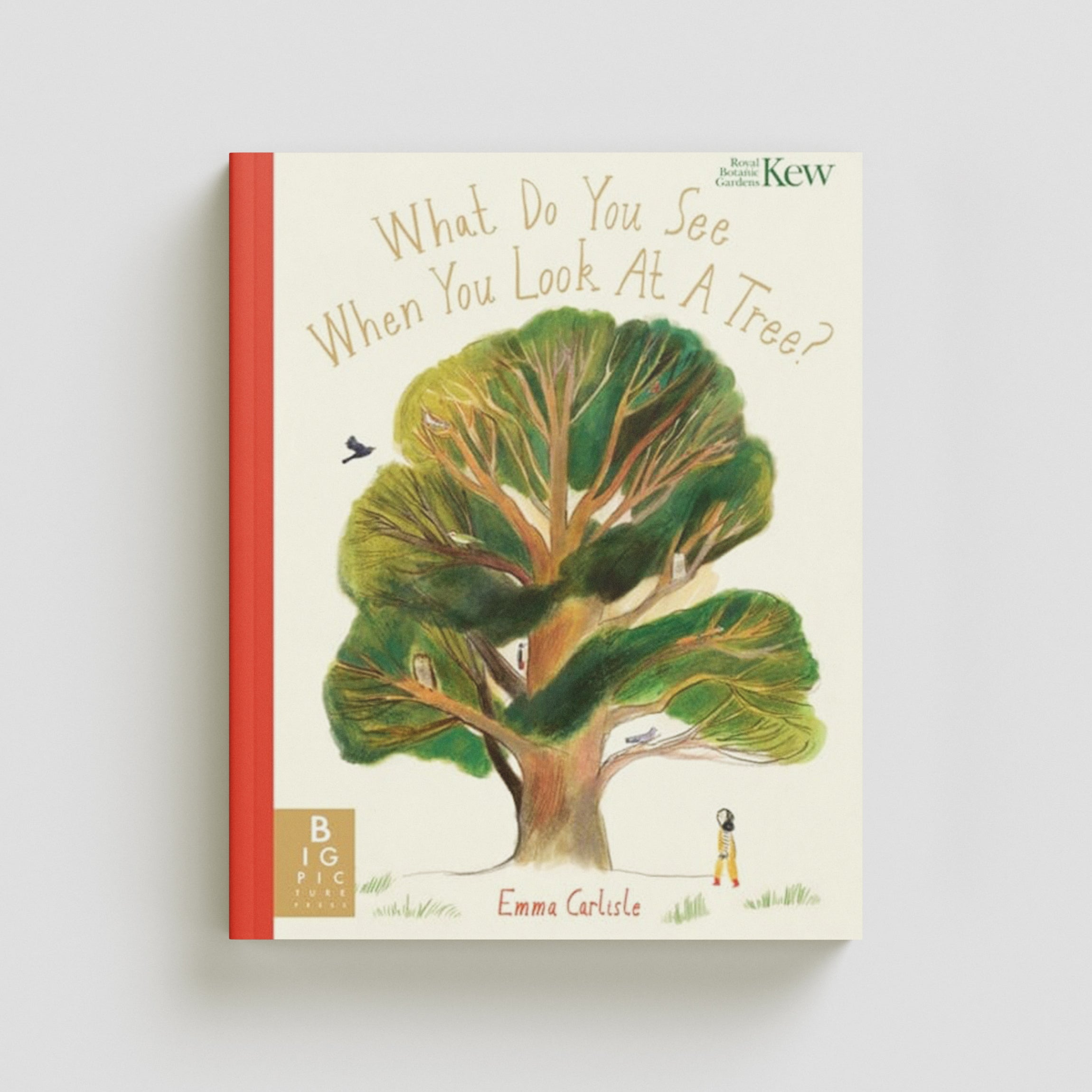 What Do You See When You Look At a Tree? by Emma Carlisle; 9781800784383
