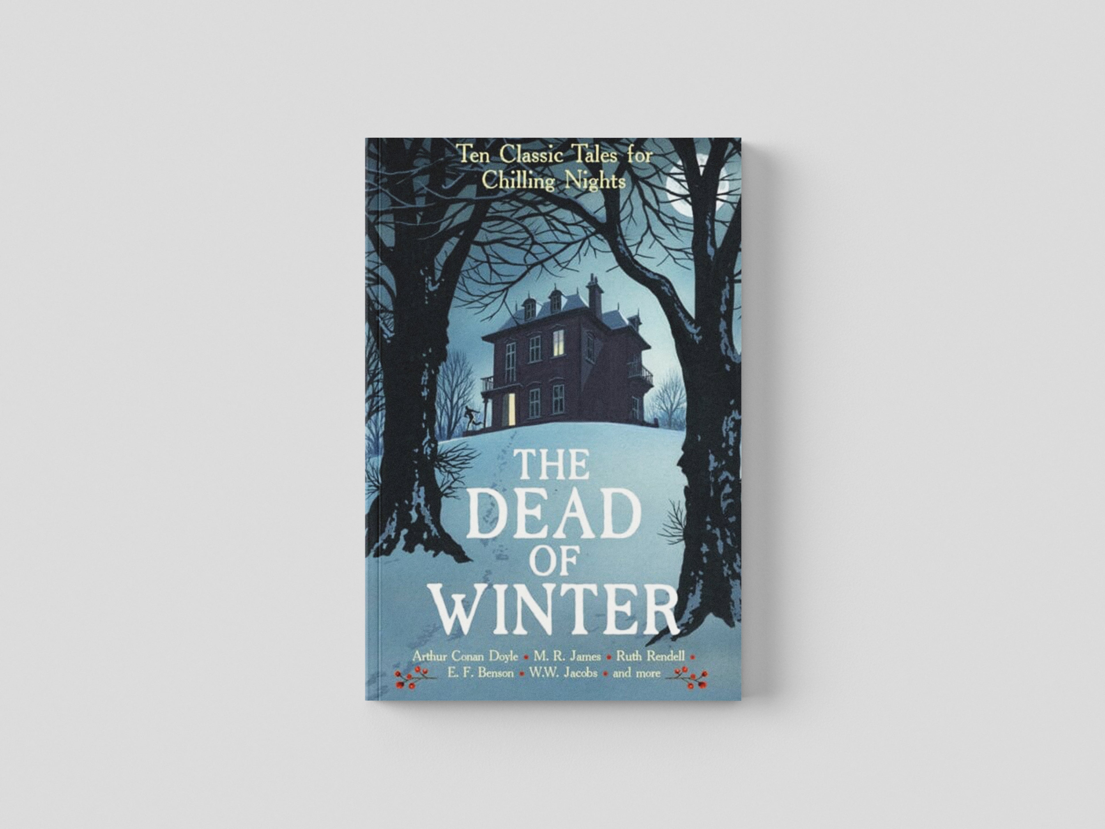 The Dead of Winter Paperback / softback