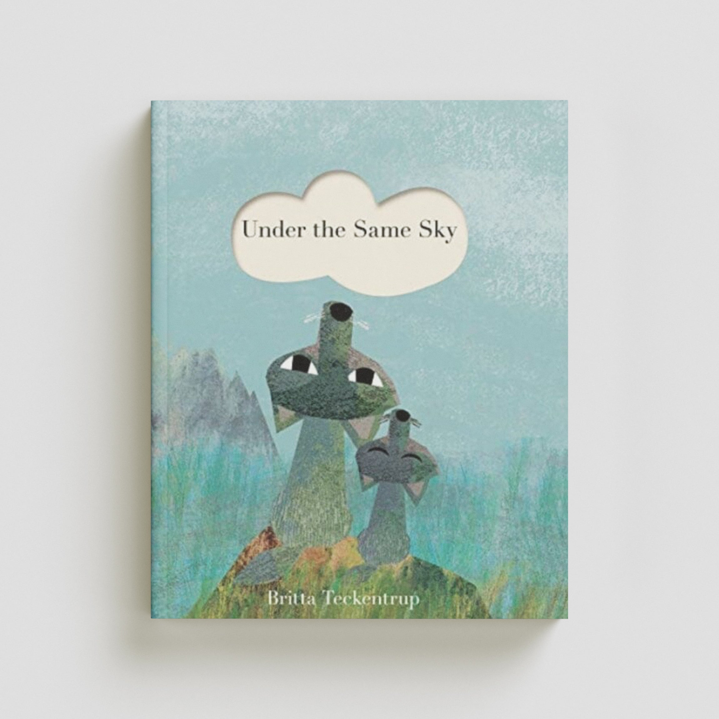 Under the Same Sky by Little Tiger Press Group; 9781838914349
