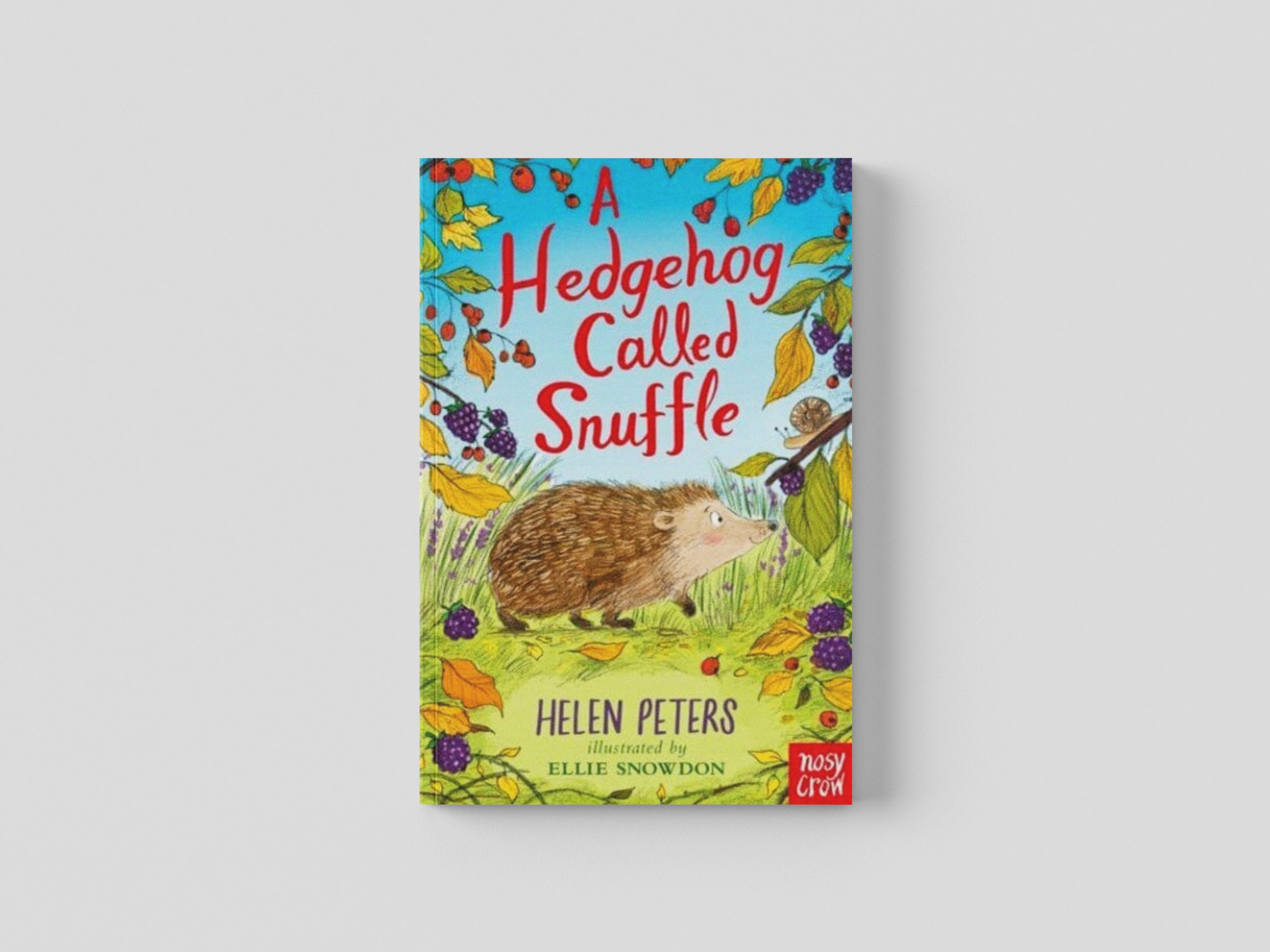A Hedgehog Called Snuffle by Helen Peters; 9781839945052