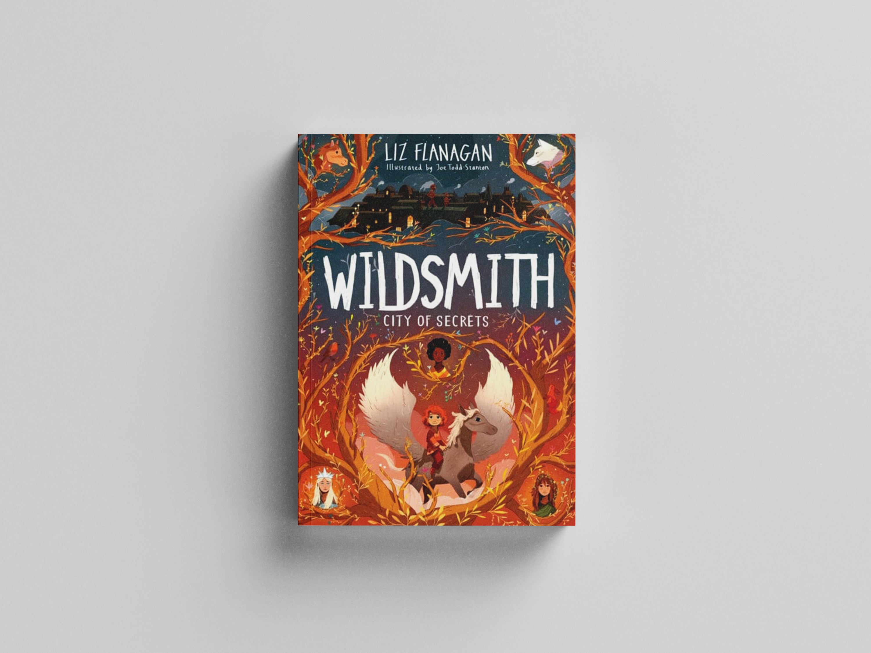 City of Secrets by Liz Flanagan; 9781915235077