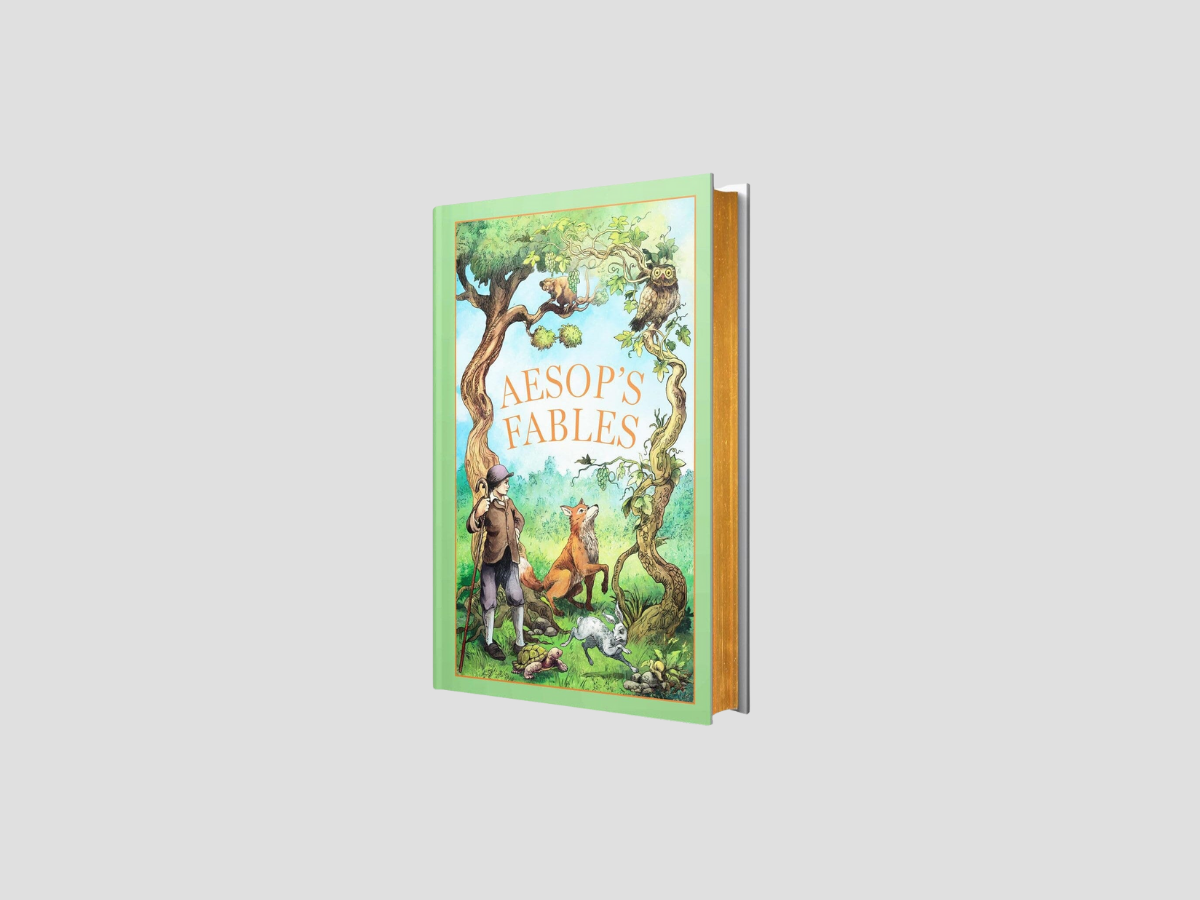 Aesop's Fables - Ages 14+ - Leather Bound by Wilco Books; 9788119307814