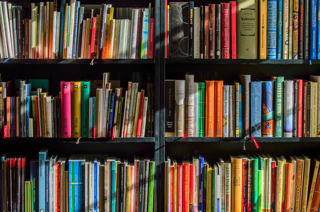 Best Business Books for Entrepreneurs and Leaders in 2025