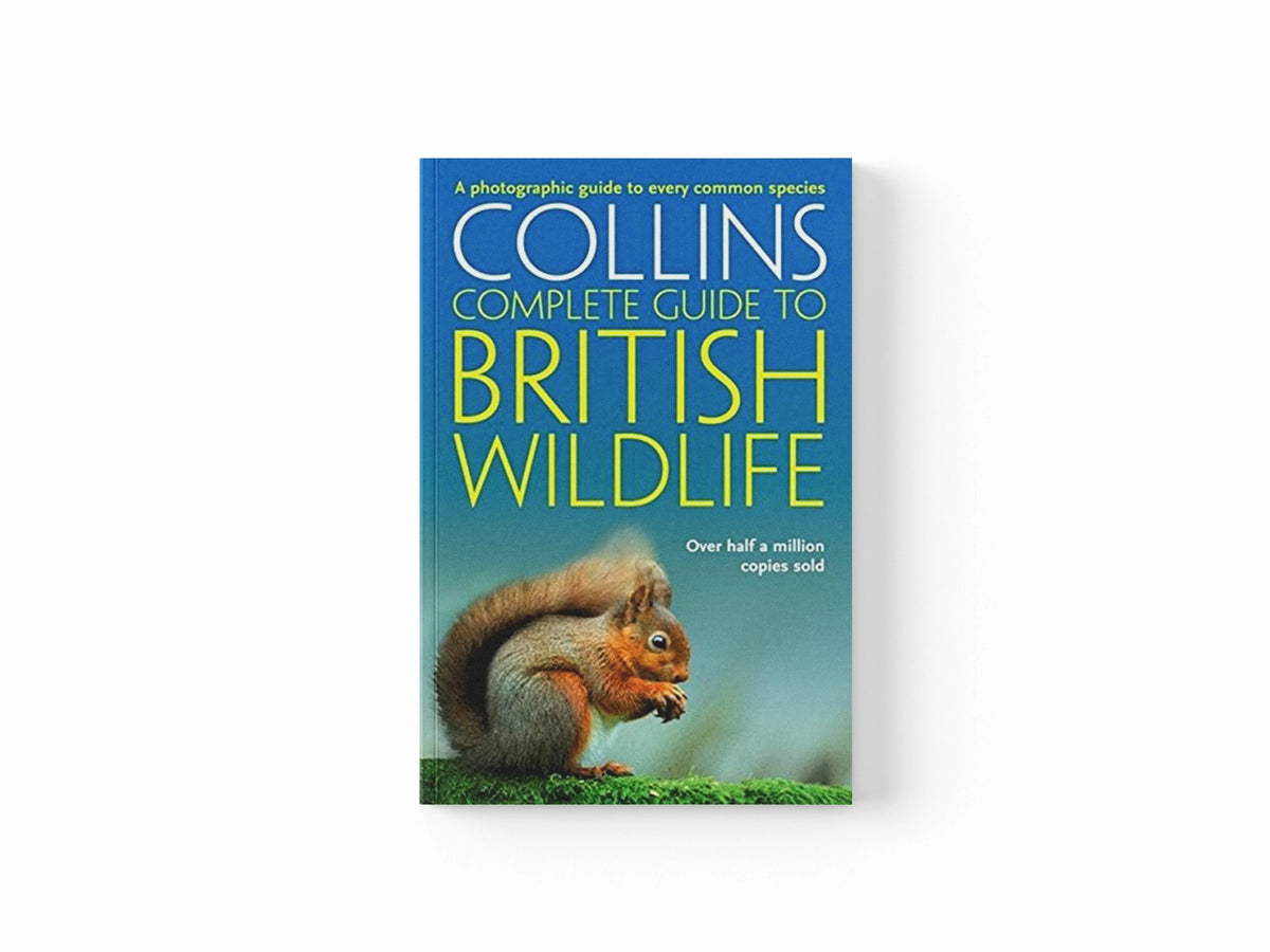 British Wildlife by Paul Sterry; 9780007236831