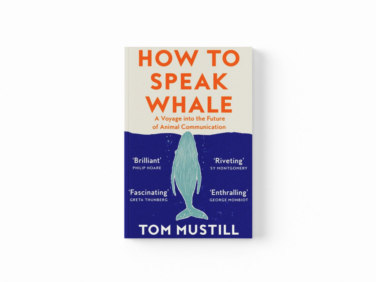 How to Speak Whale Paperback / softback