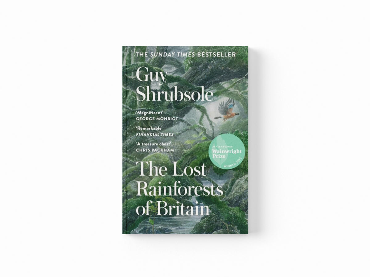 The Lost Rainforests of Britain