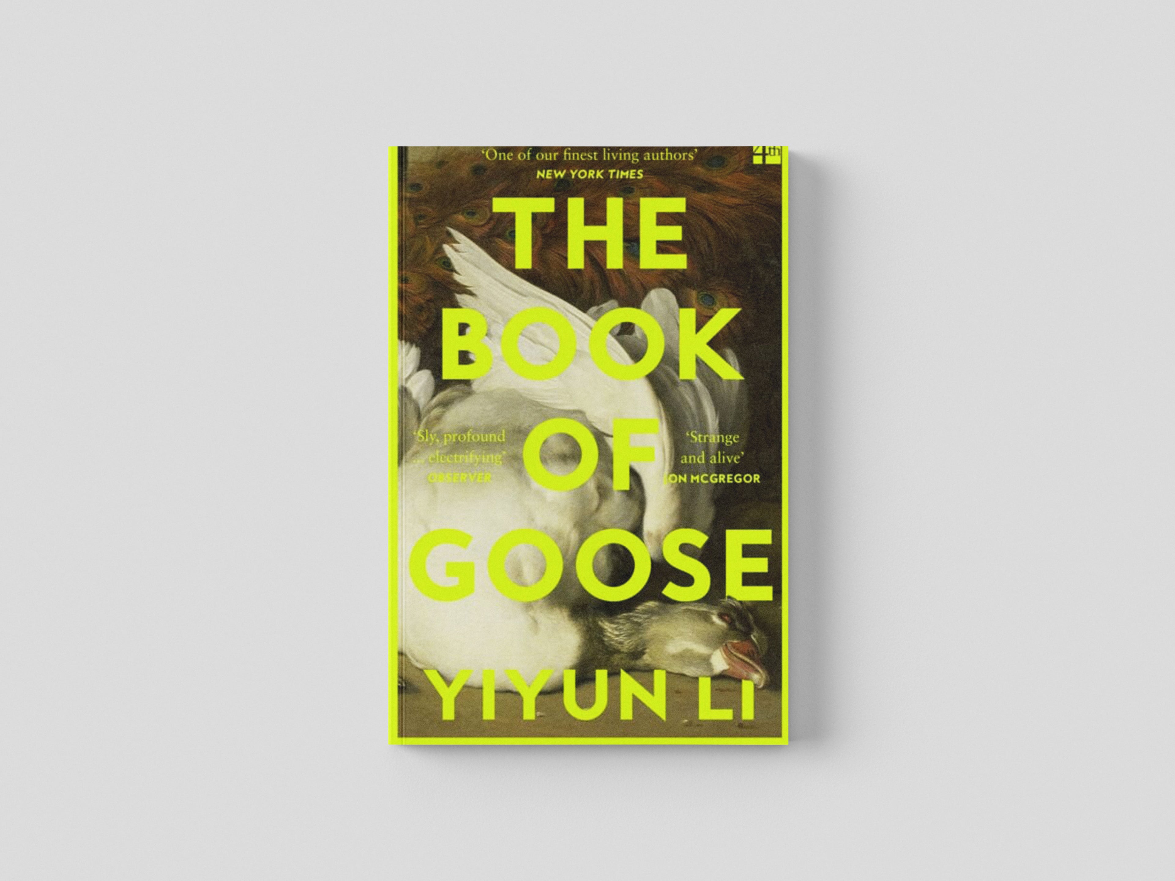 The Book of Goose Paperback / softback