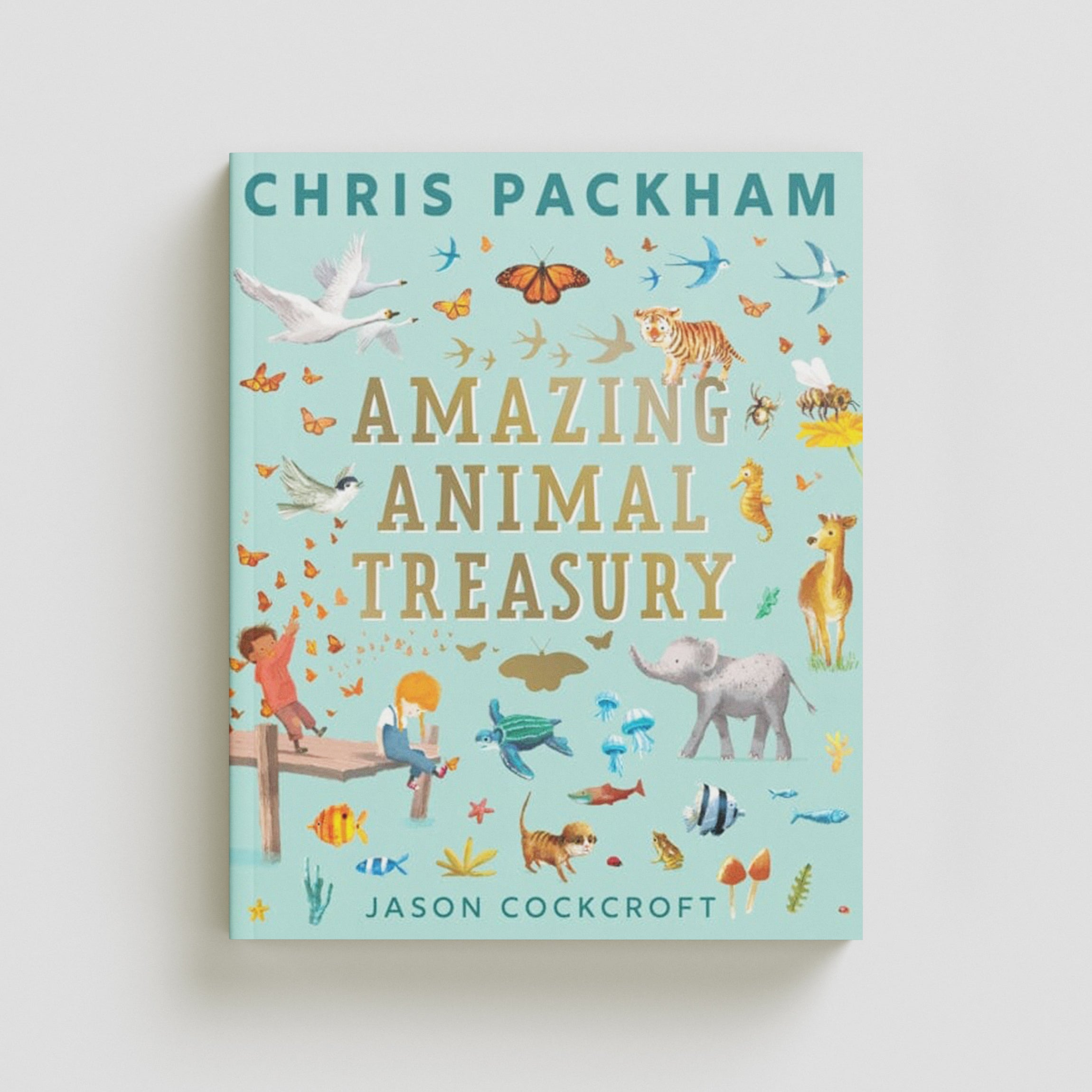 Amazing Animal Treasury by HarperCollins Publishers; 9780008546281