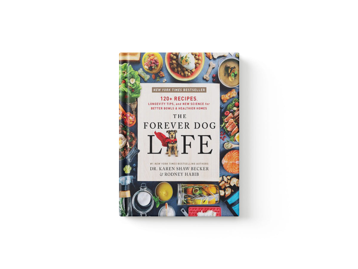 The Forever Dog Life by Karen Shaw Becker; Rodney Habib; 9780063314009