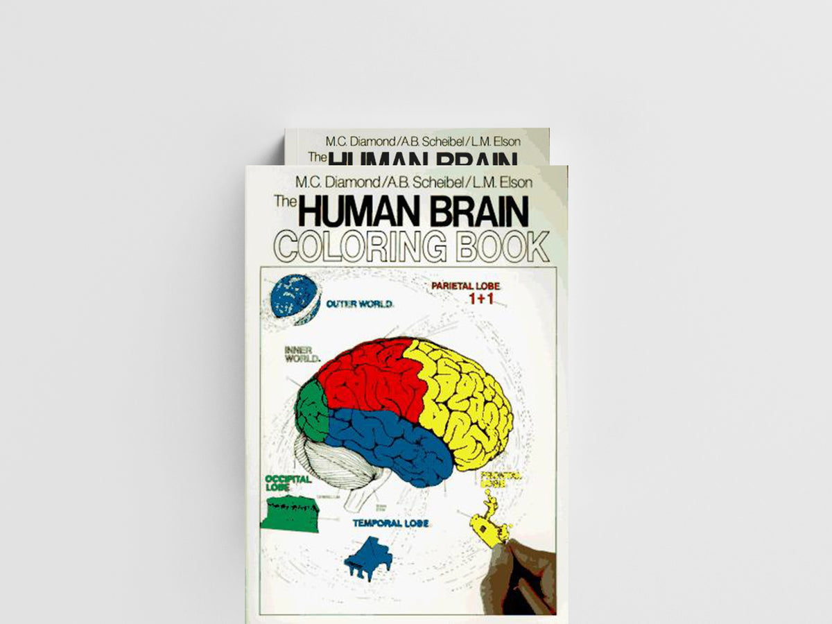 The Human Brain Coloring Book by Arnold B Scheibel; Marian C. Diamond; 9780064603065