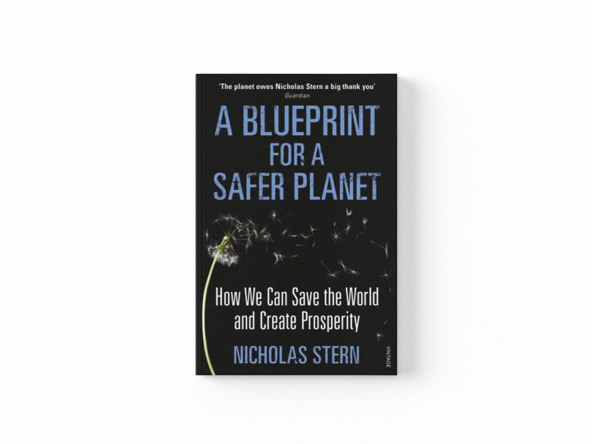 A Blueprint for a Safer Planet by Nicholas Stern; 9780099524052