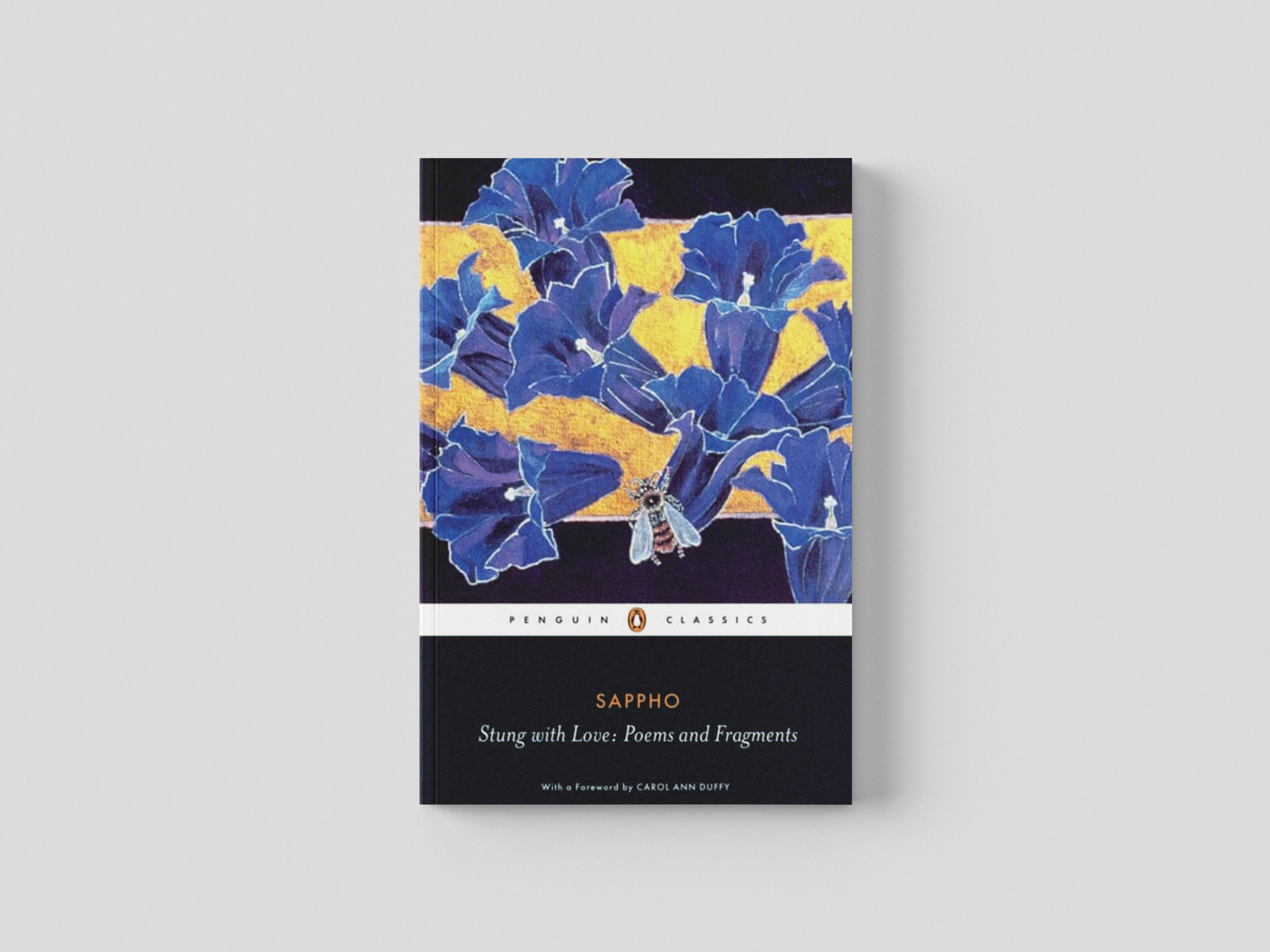 Stung with Love: Poems and Fragments of Sappho by Penguin Books Ltd; 9780140455571