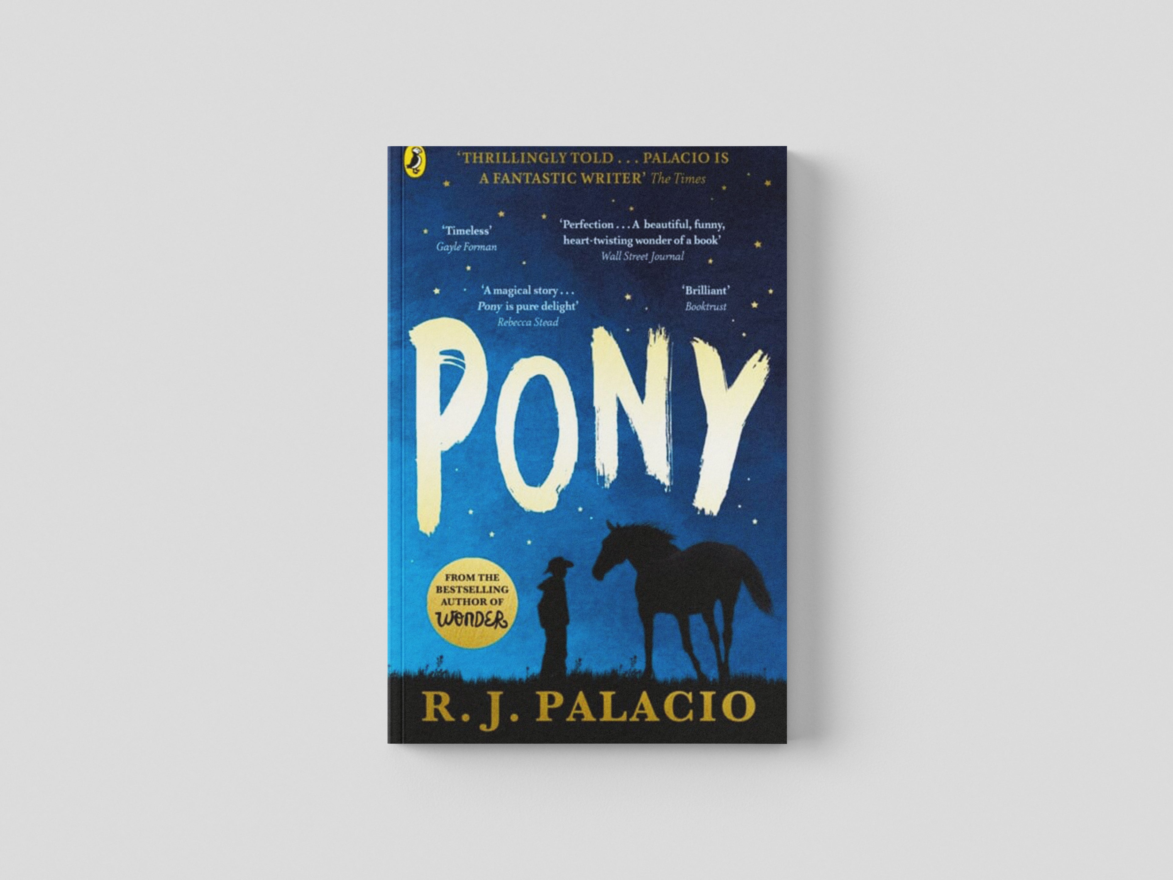 Pony by Penguin Random House Children's UK; 9780141377070
