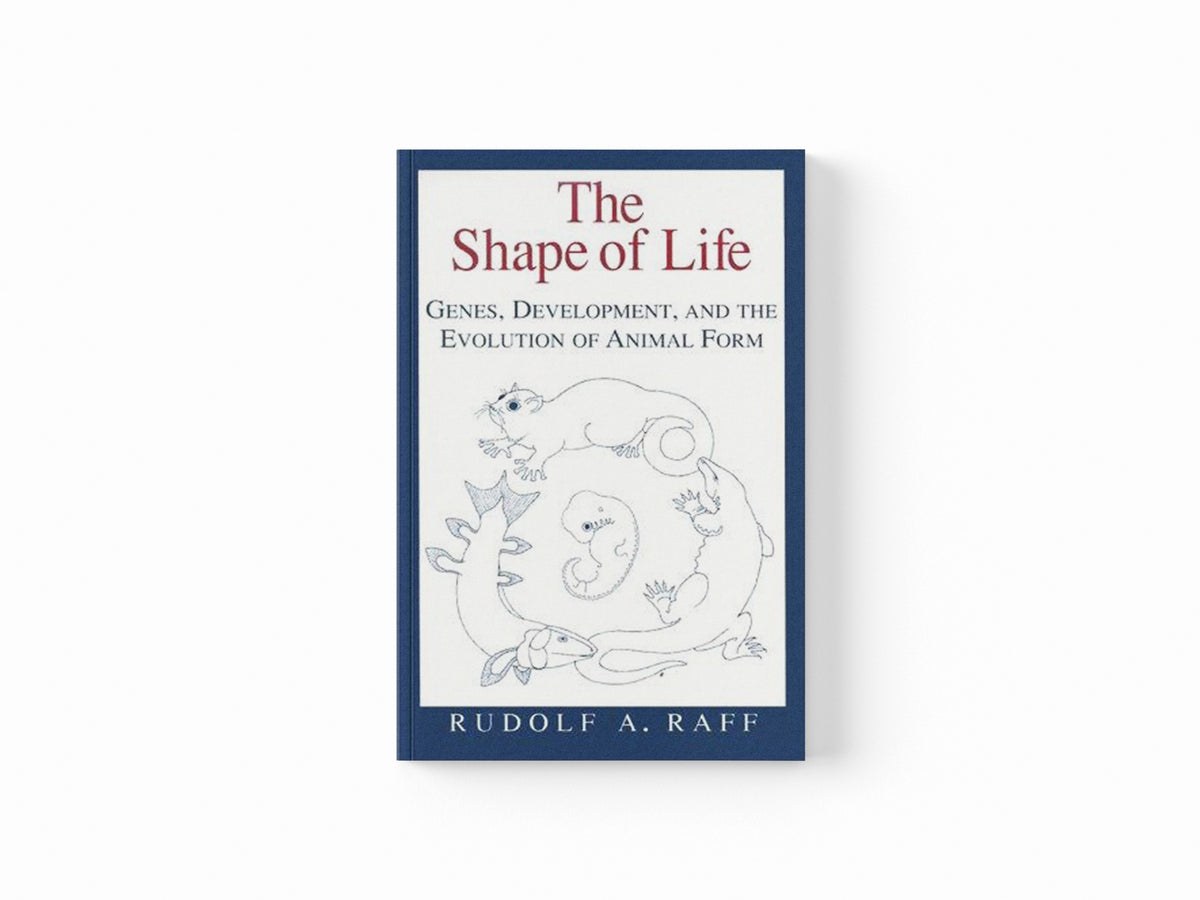 The Shape of Life by Rudolf A. Raff; 9780226702667
