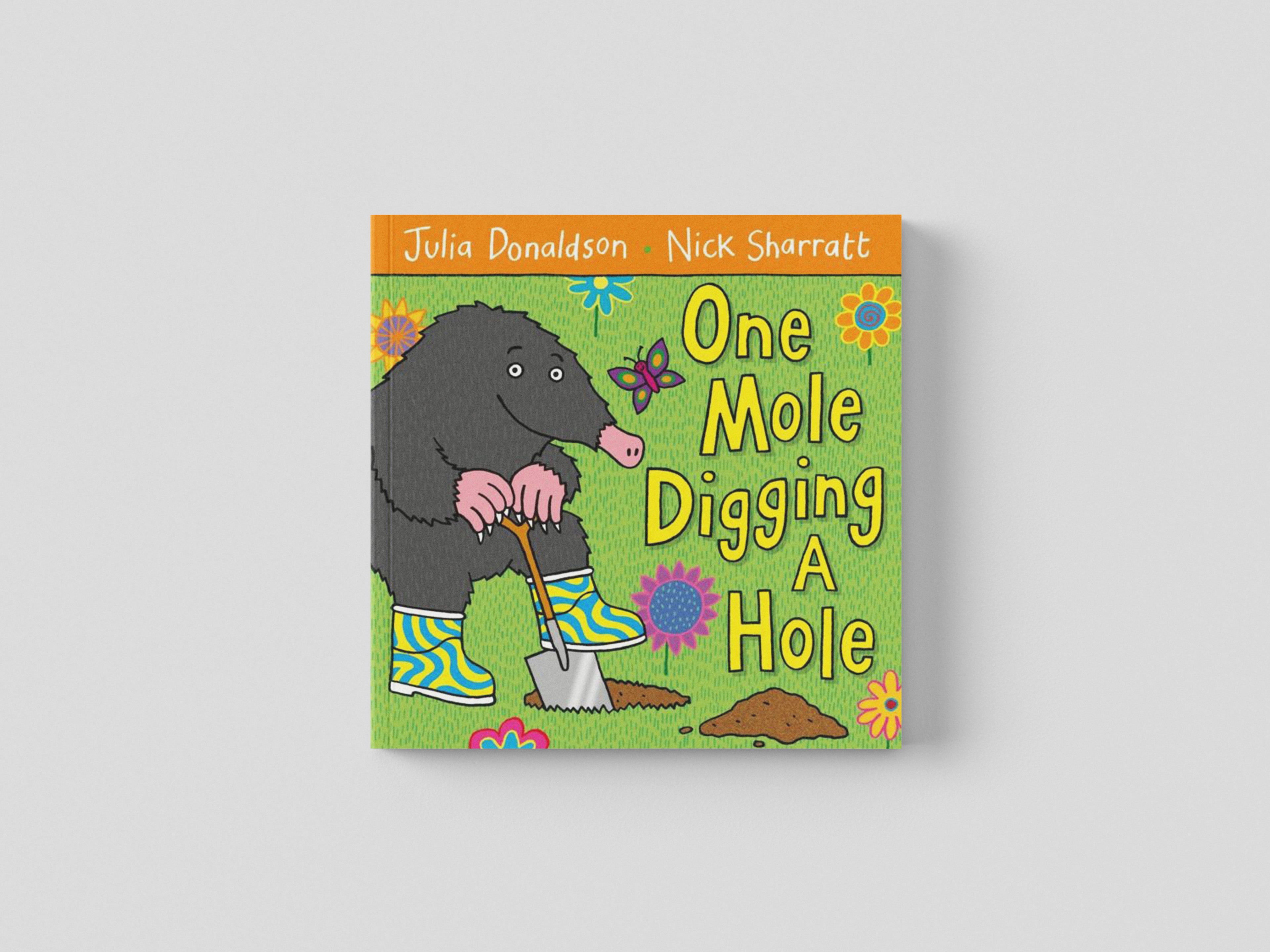 One Mole Digging A Hole by Julia Donaldson; 9780230706477