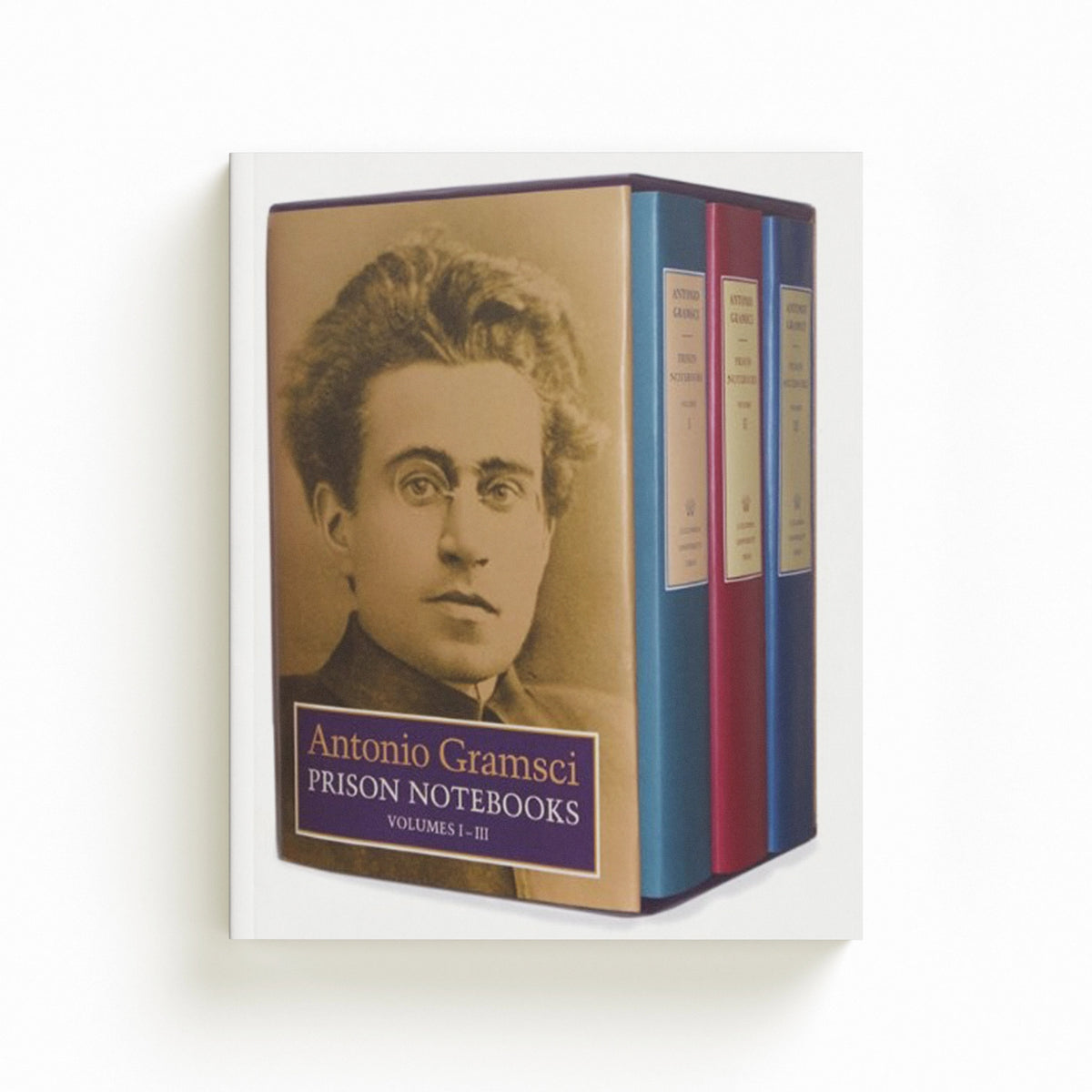 Prison Notebooks by Antonio Gramsci; 9780231157551