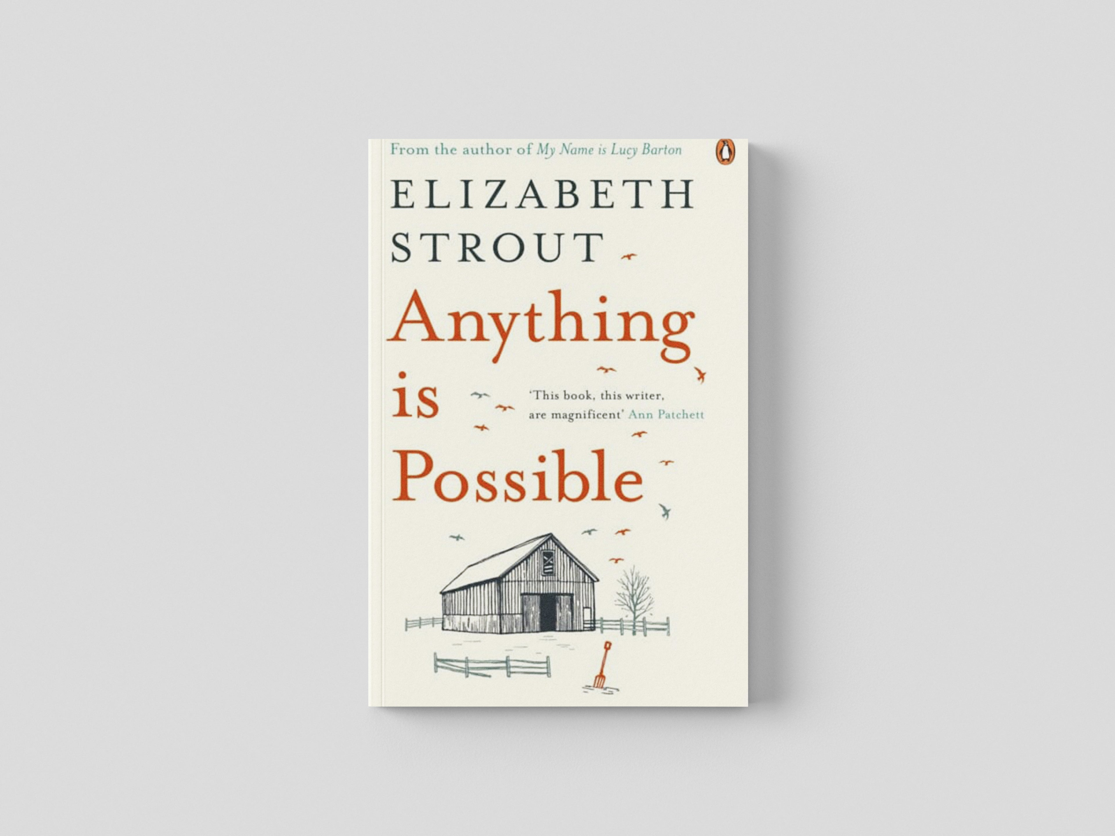 Anything is Possible by Elizabeth Strout; 9780241248799