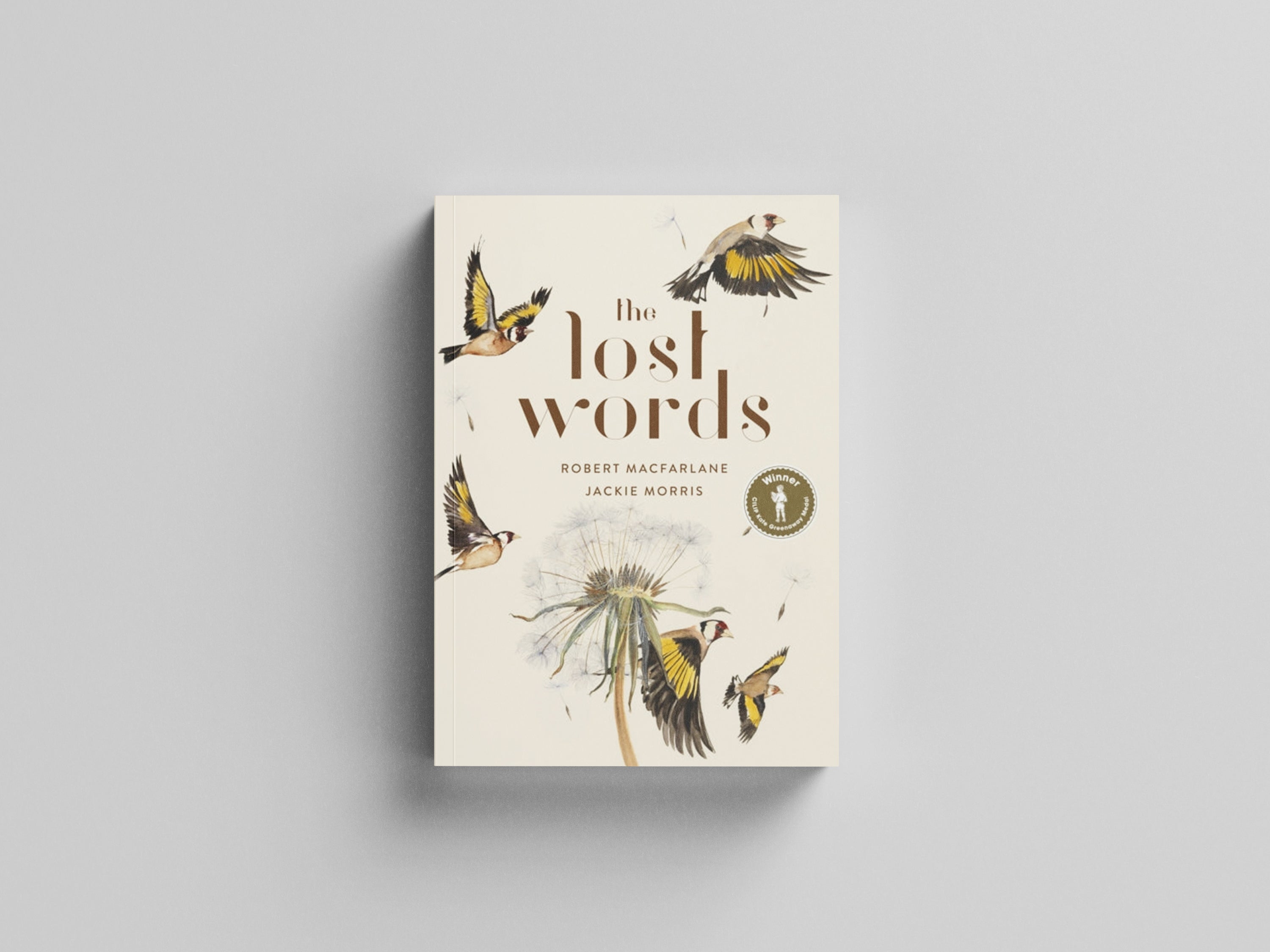 The Lost Words by Robert Macfarlane; 9780241253588