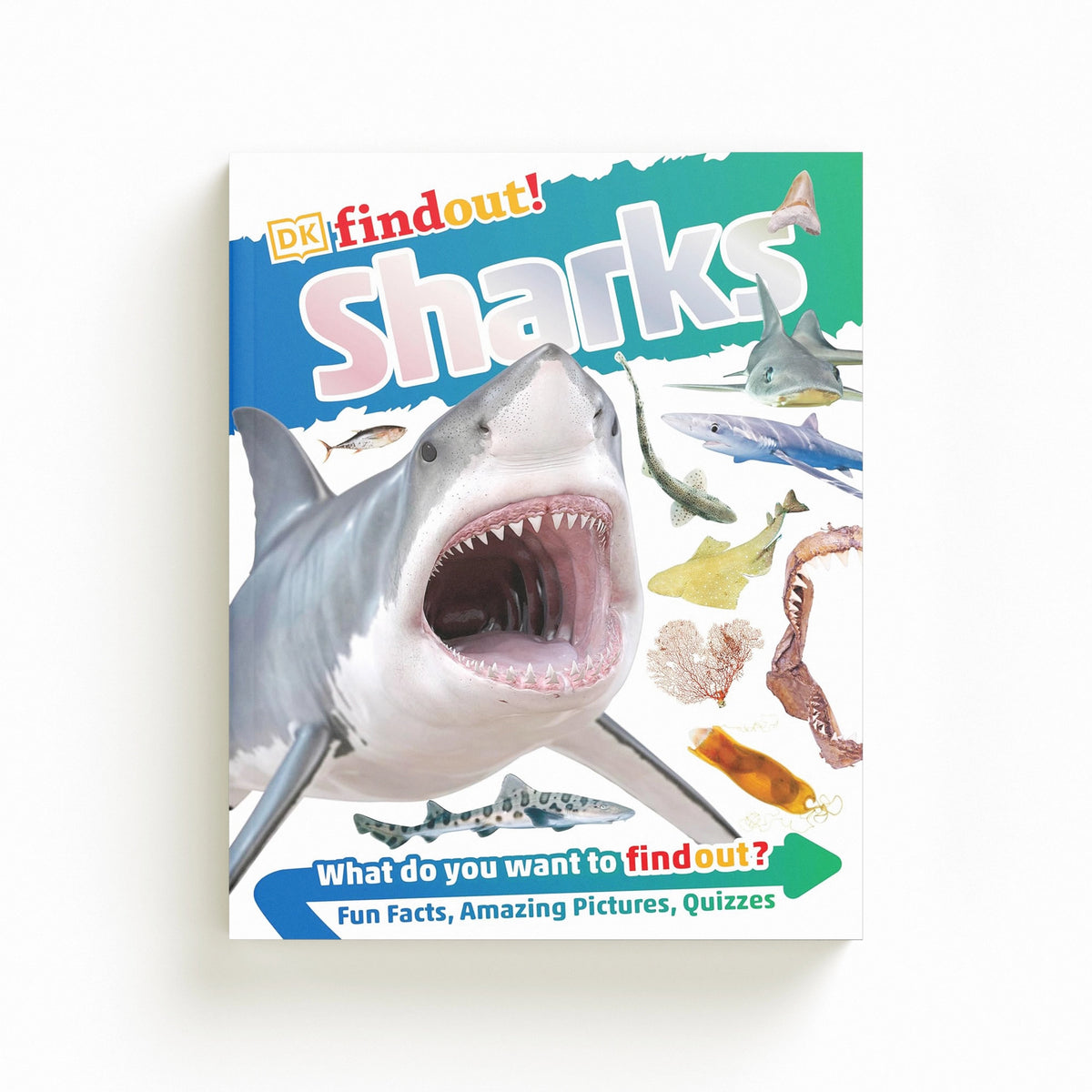 DKfindout! Sharks by Dorling Kindersley Ltd; 9780241282731