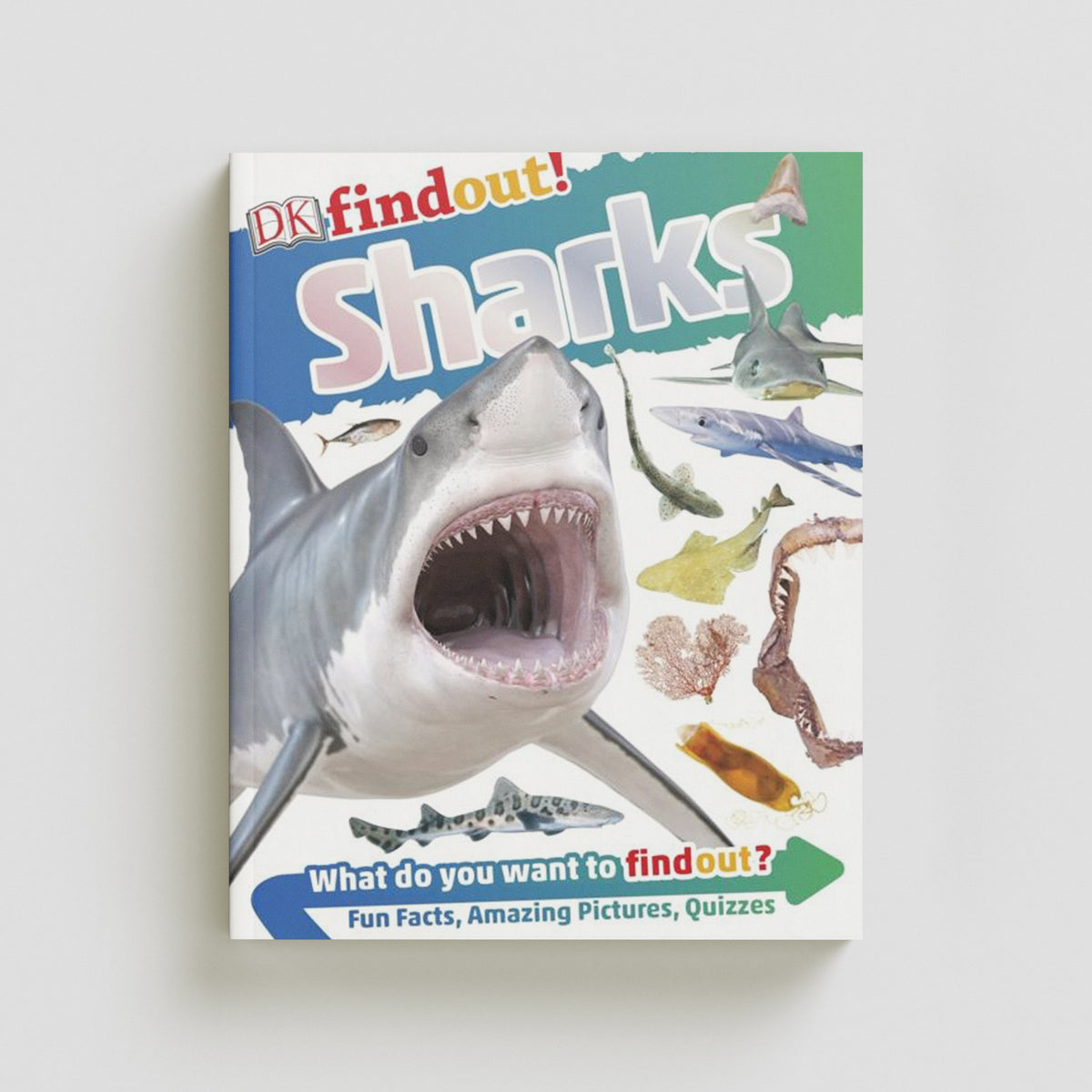 DKfindout! Sharks by Dorling Kindersley Ltd; 9780241282731