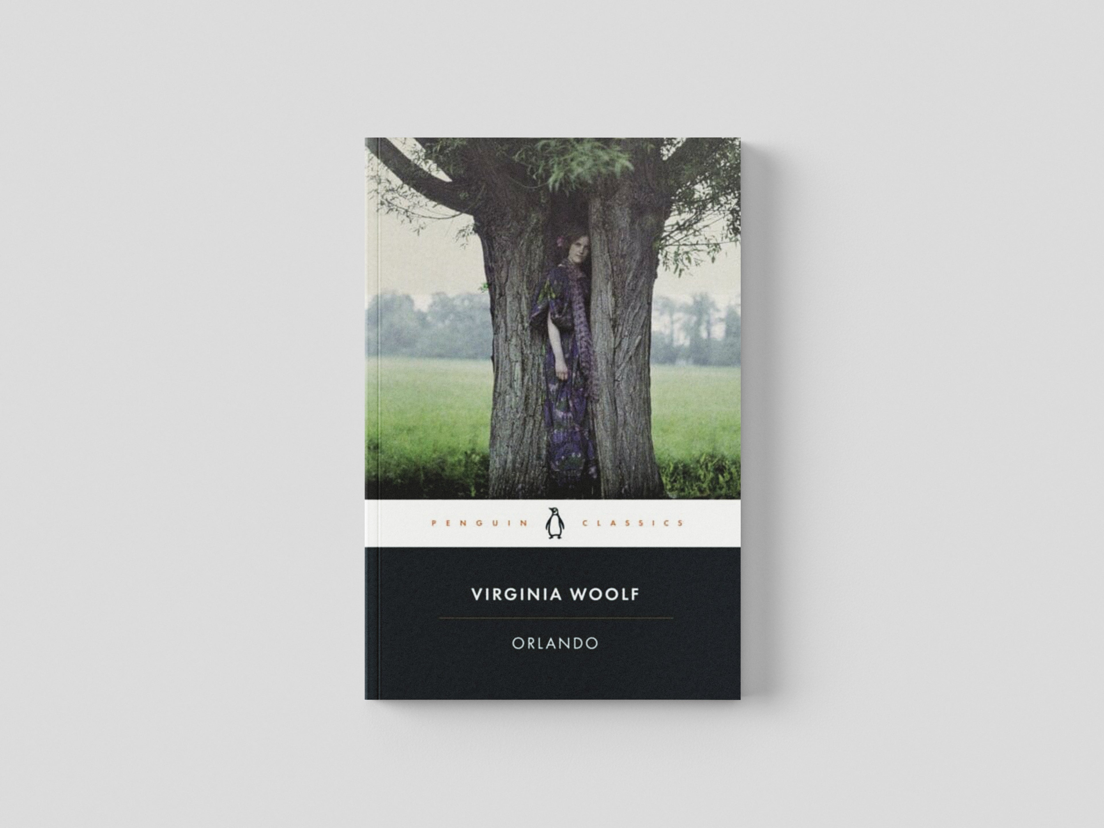 Orlando by Penguin Books Ltd; 9780241371961