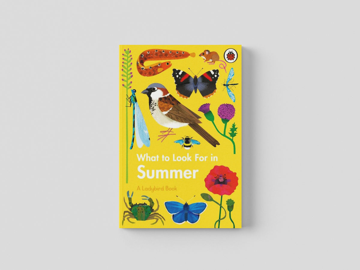 What to Look For in Summer by Elizabeth Jenner; 9780241416204