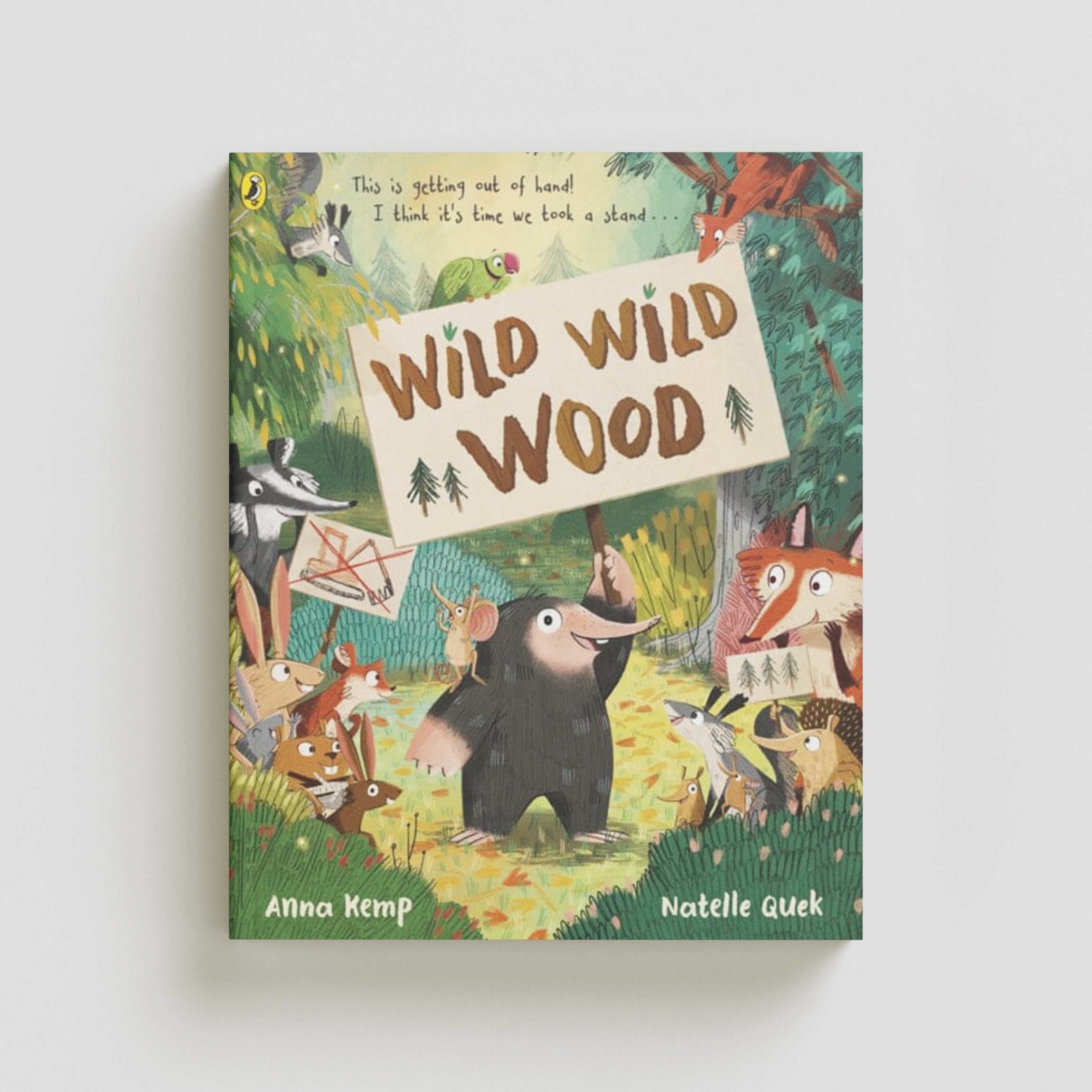 Wild Wild Wood by Anna Kemp; 9780241489239