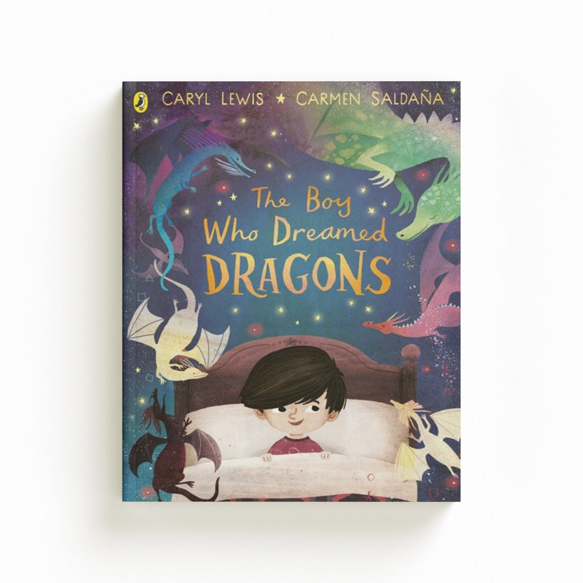 The Boy Who Dreamed Dragons