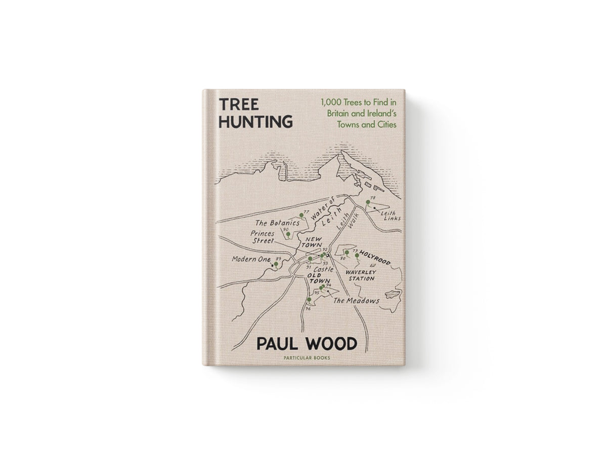 Tree Hunting by Paul Wood; 9780241502051