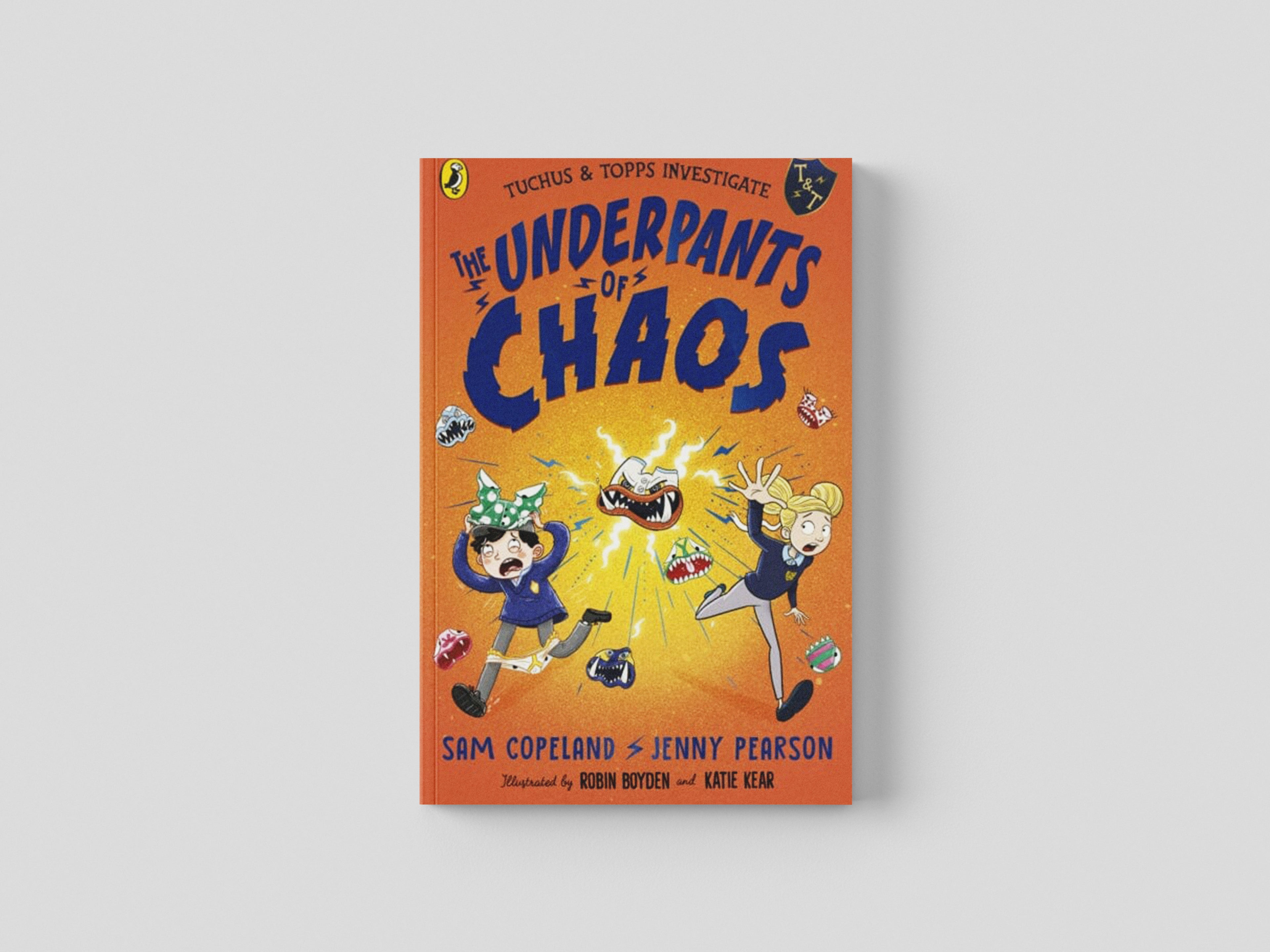 The Underpants of Chaos by Sam Copeland; 9780241521069